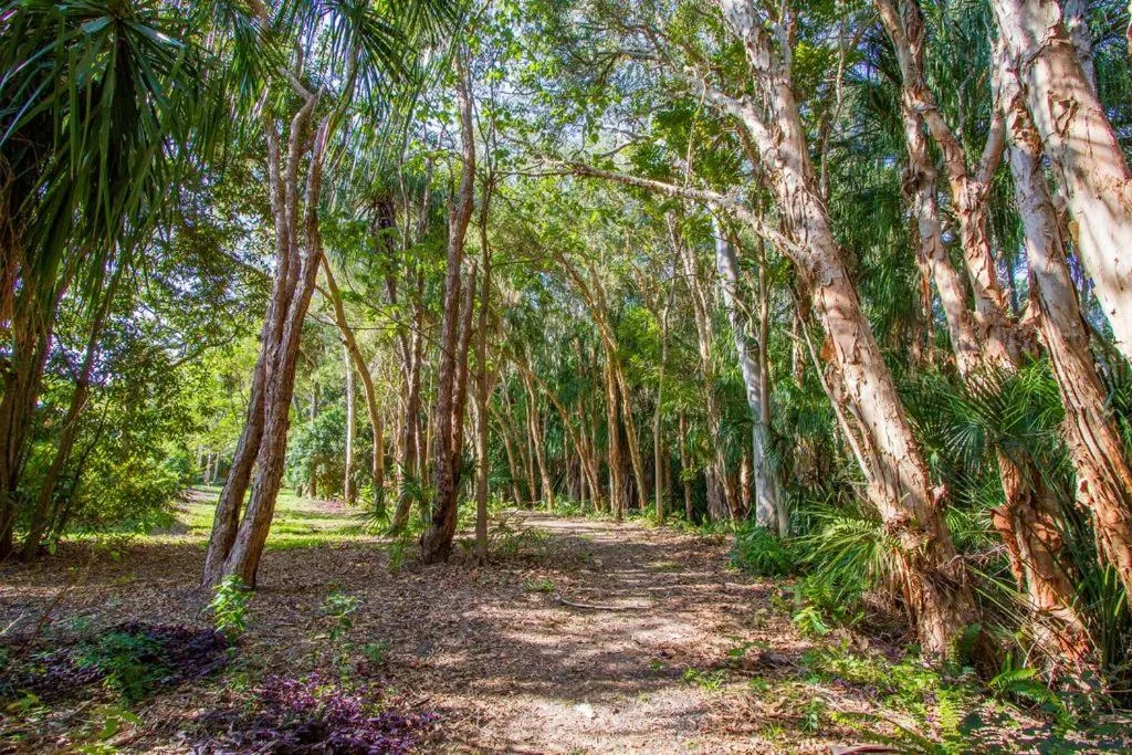Natural landscape in 1770 Beachside Backpacker