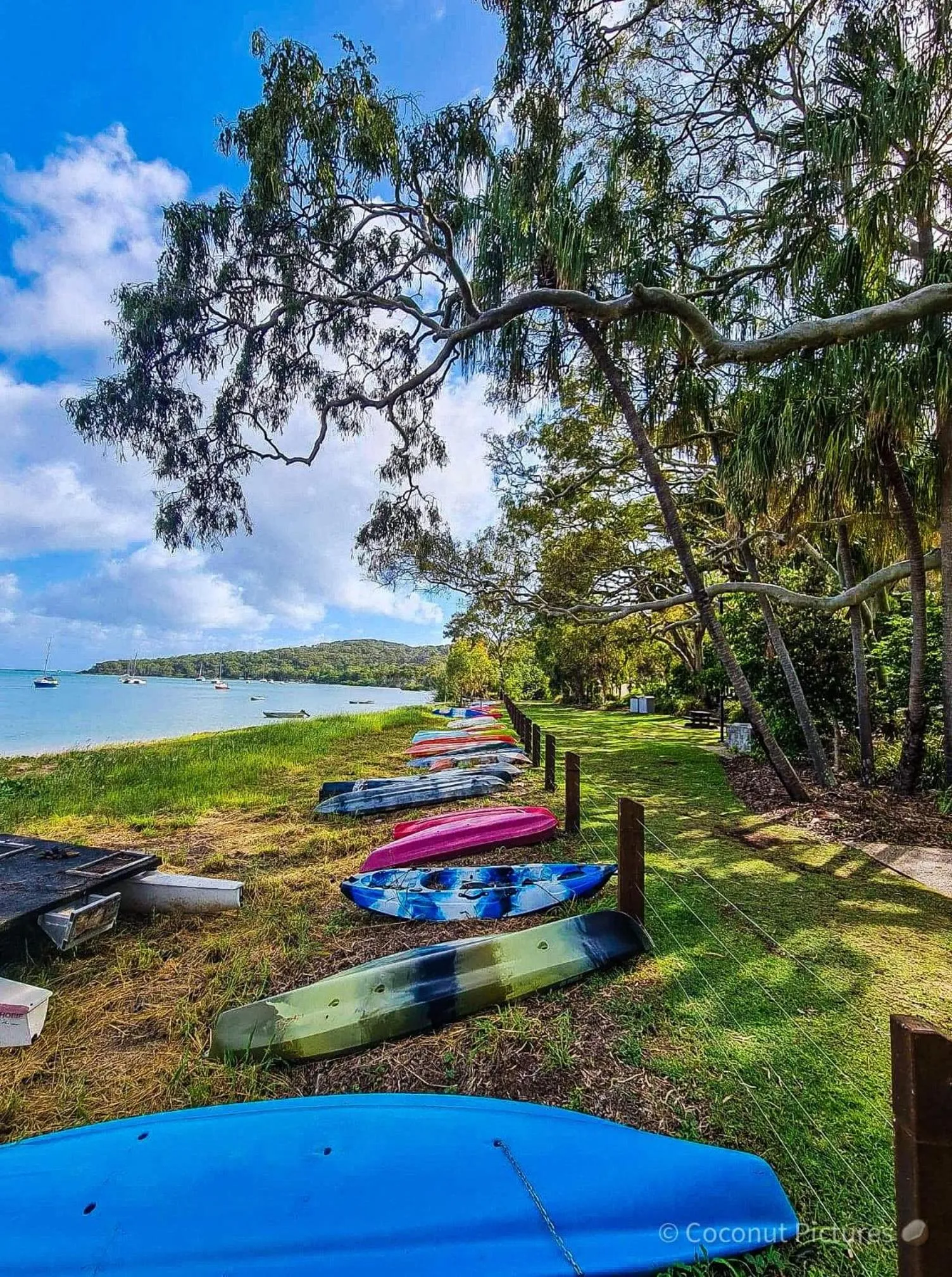 Natural landscape in 1770 Beachside Backpacker