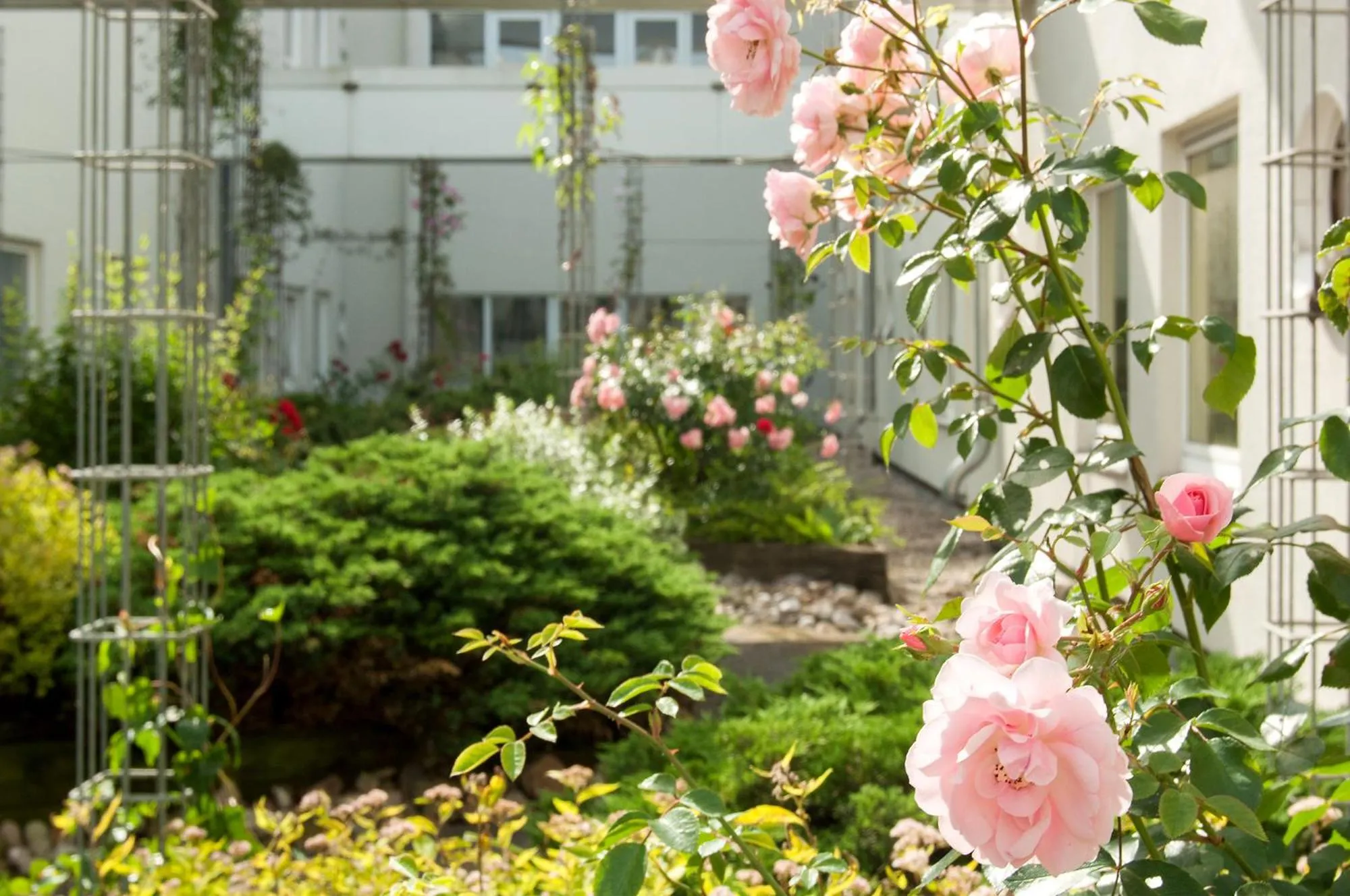 Garden in Egon Hotel Hamburg City