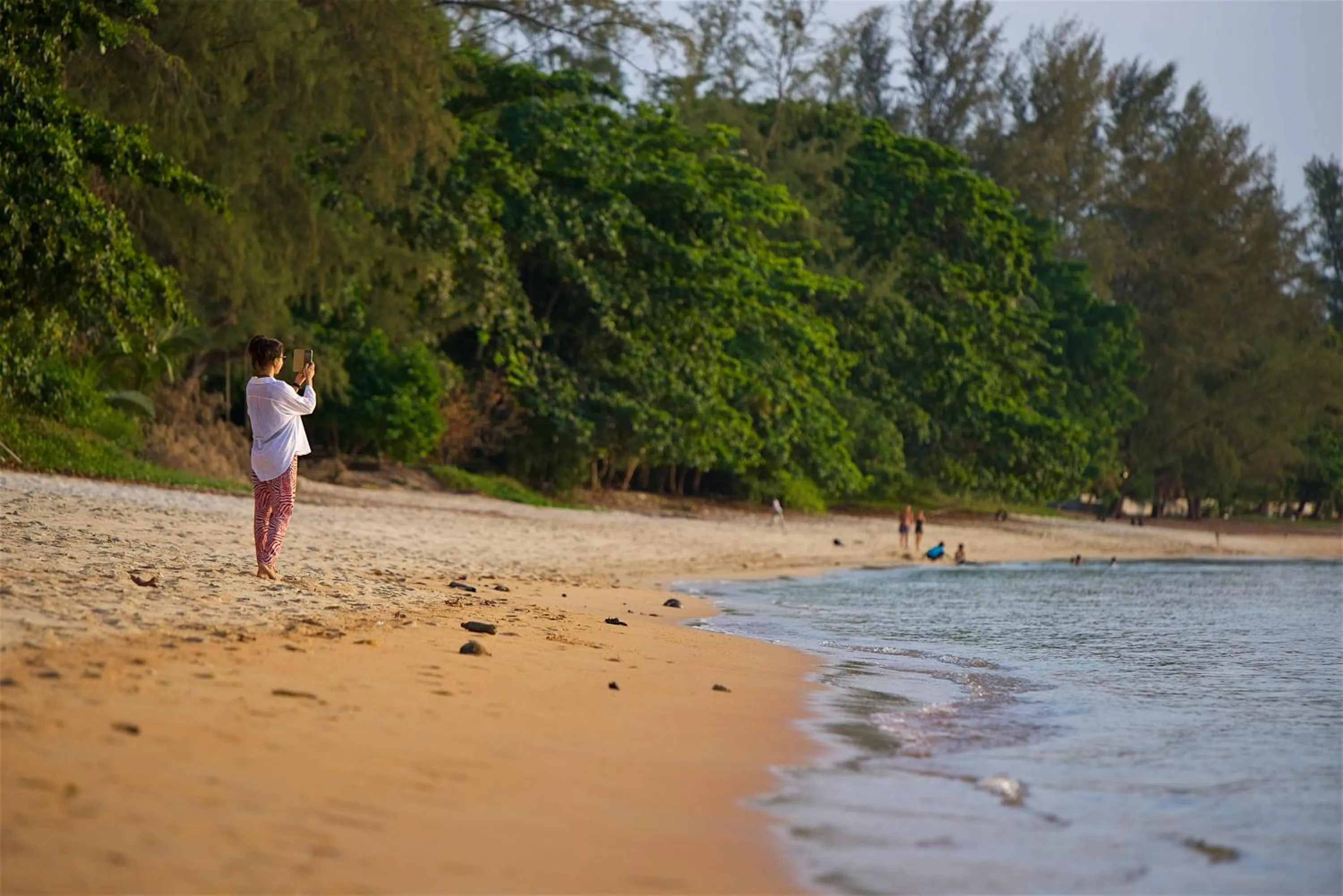 Beach in Satva Samui Yoga and Wellness Resort
