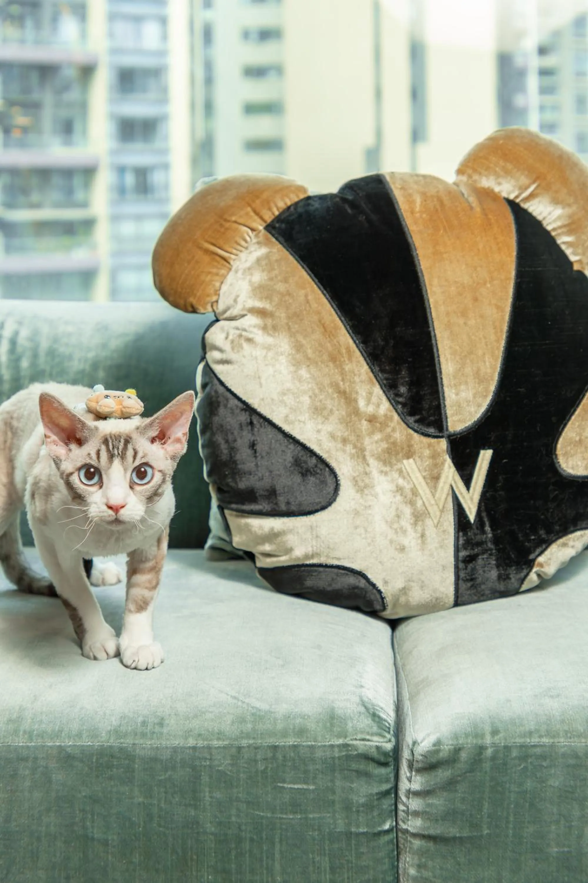 Animals in W Chengdu