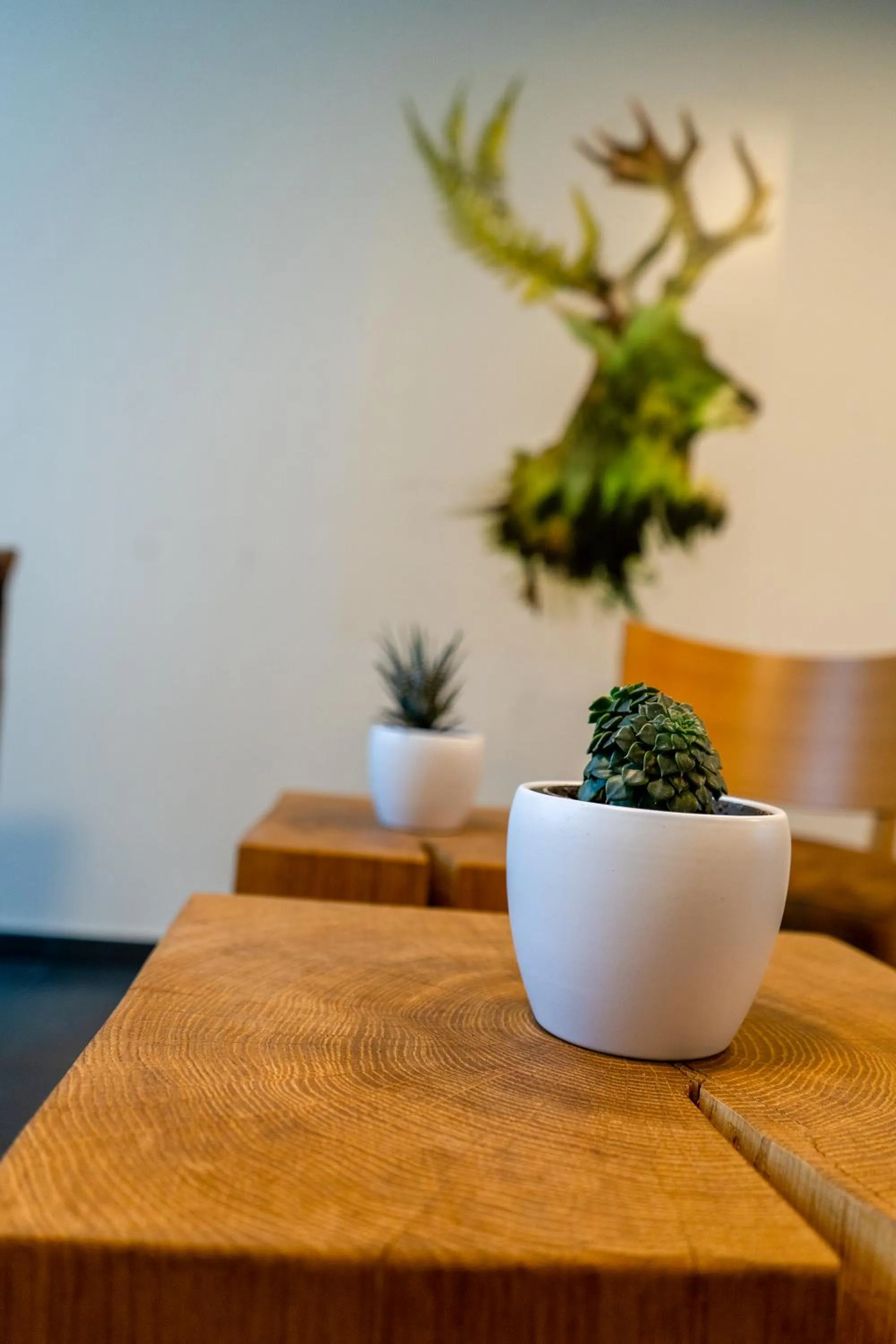 Property building in Hotel FÜNF10