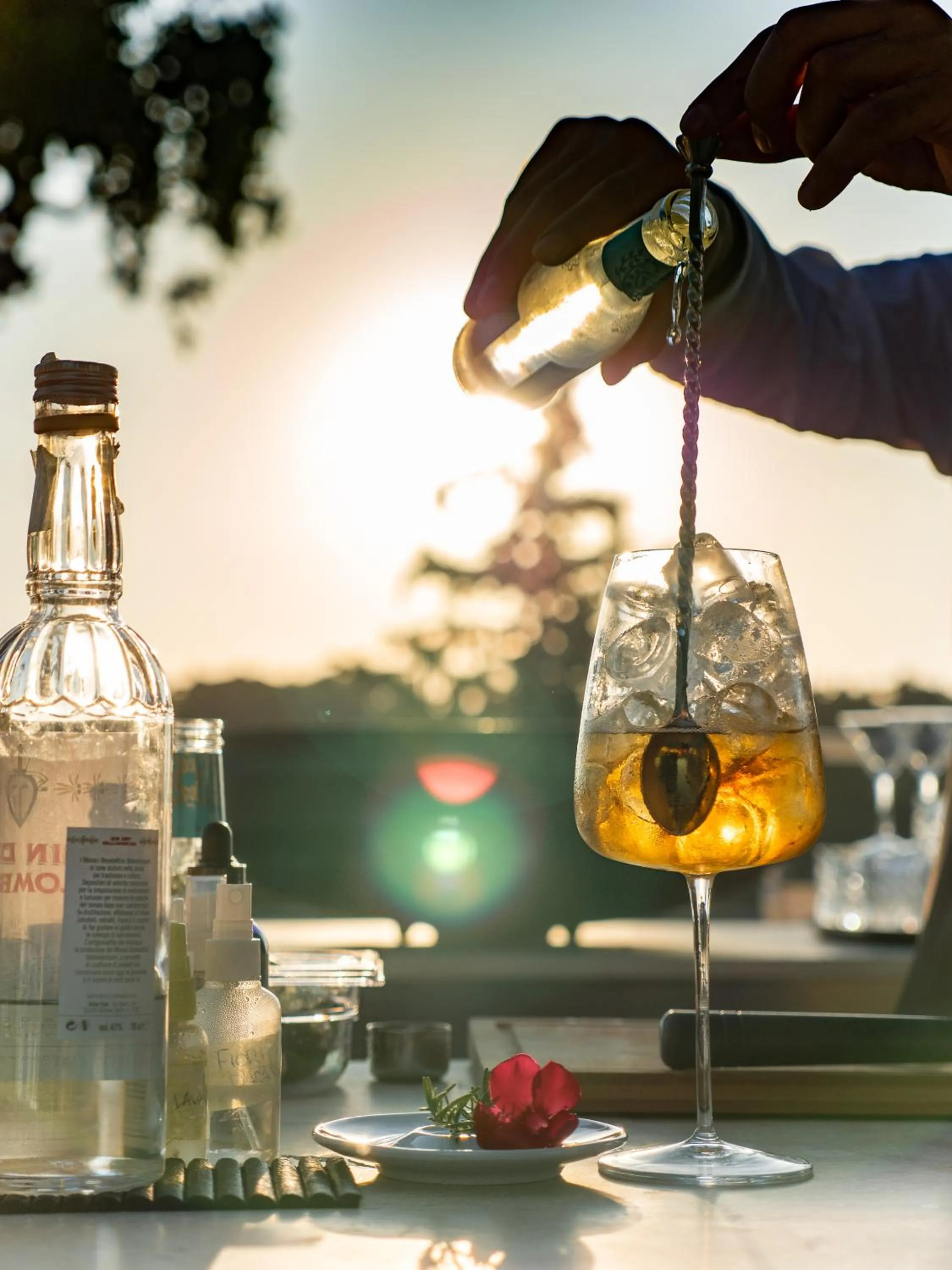 Lounge or bar in Boutique Hotel Villa Monty Banks