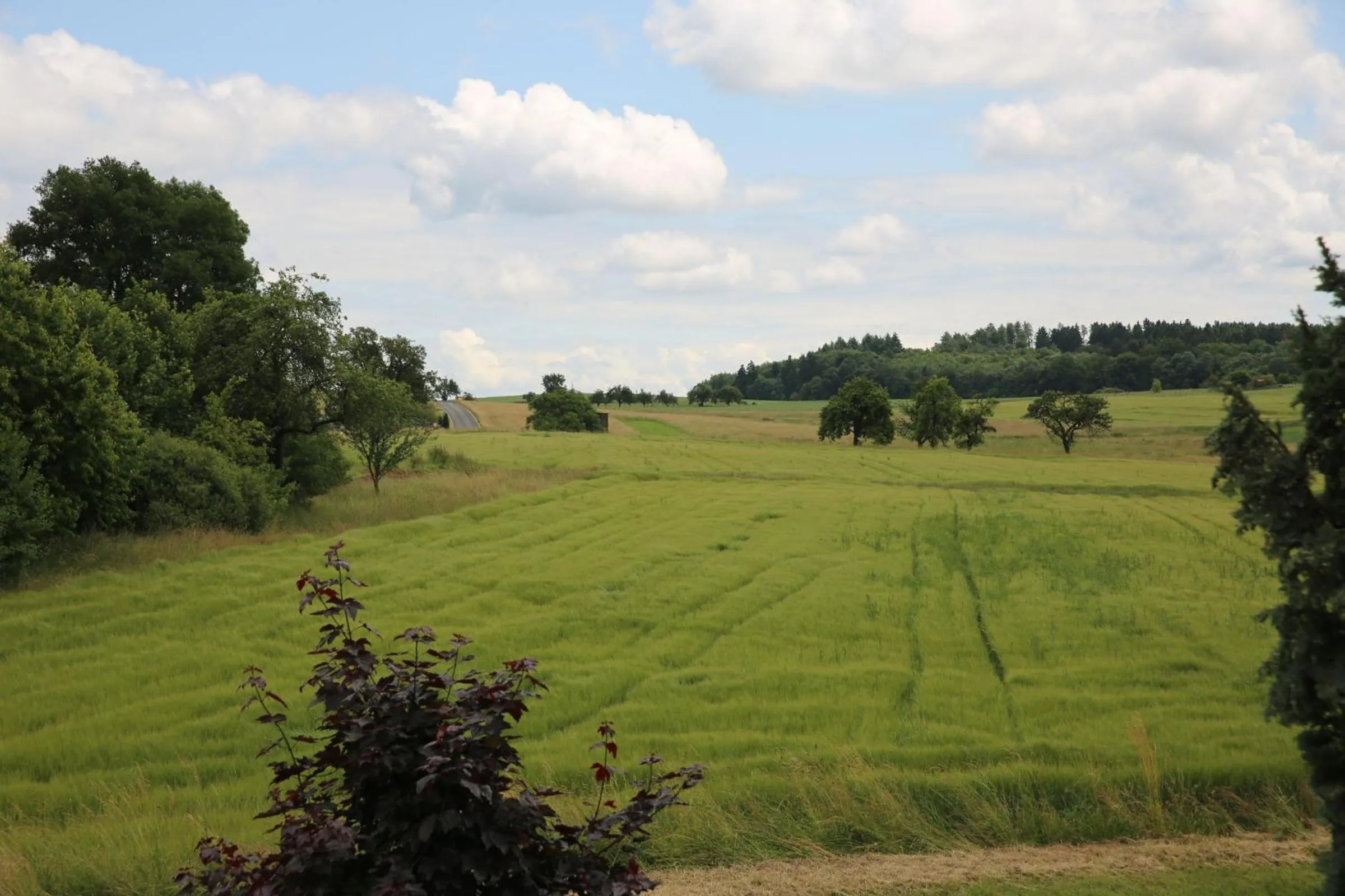 Natural landscape in Landhotel Villa Moritz garni