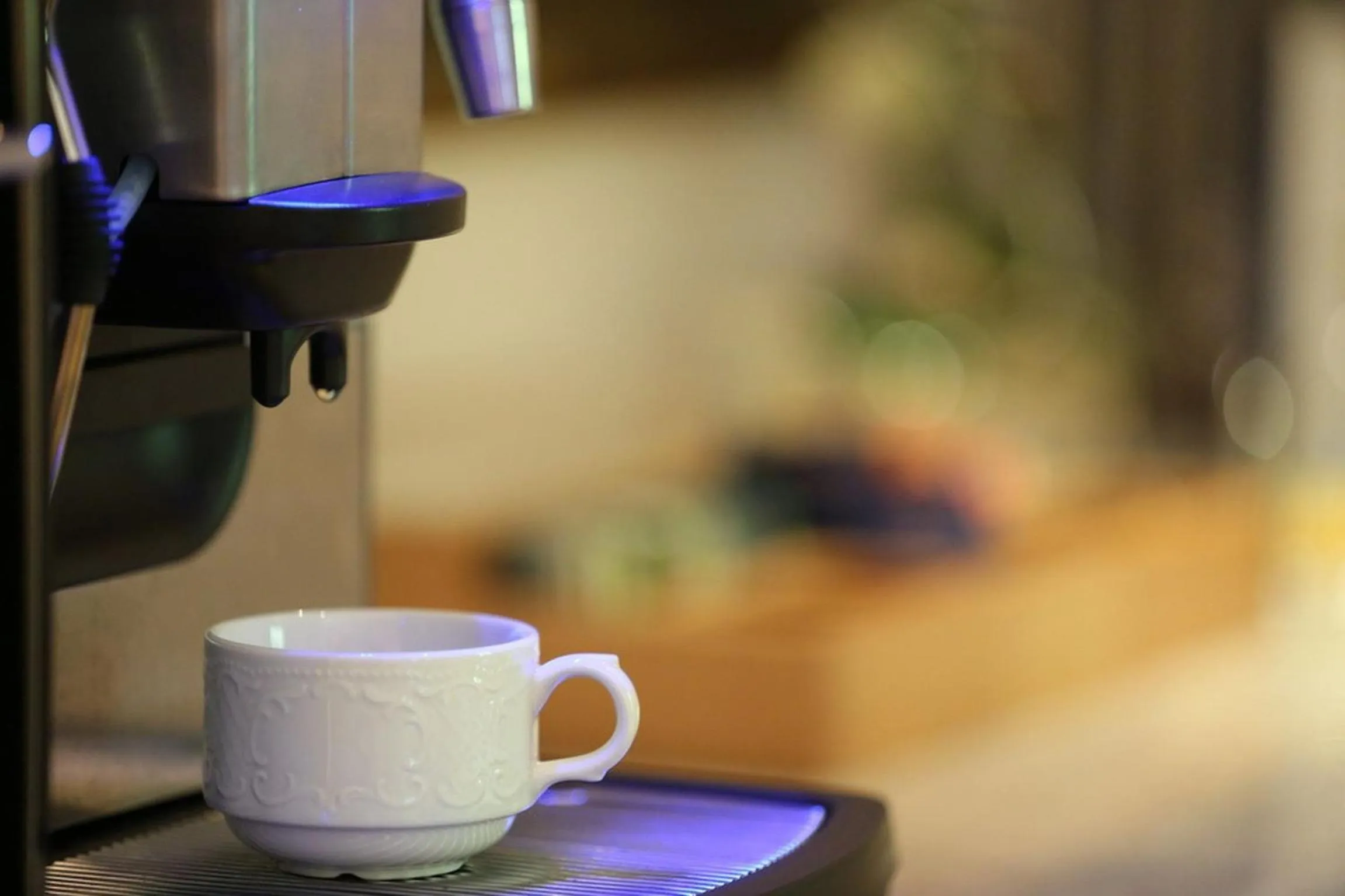 Food close-up in Landhotel Villa Moritz garni