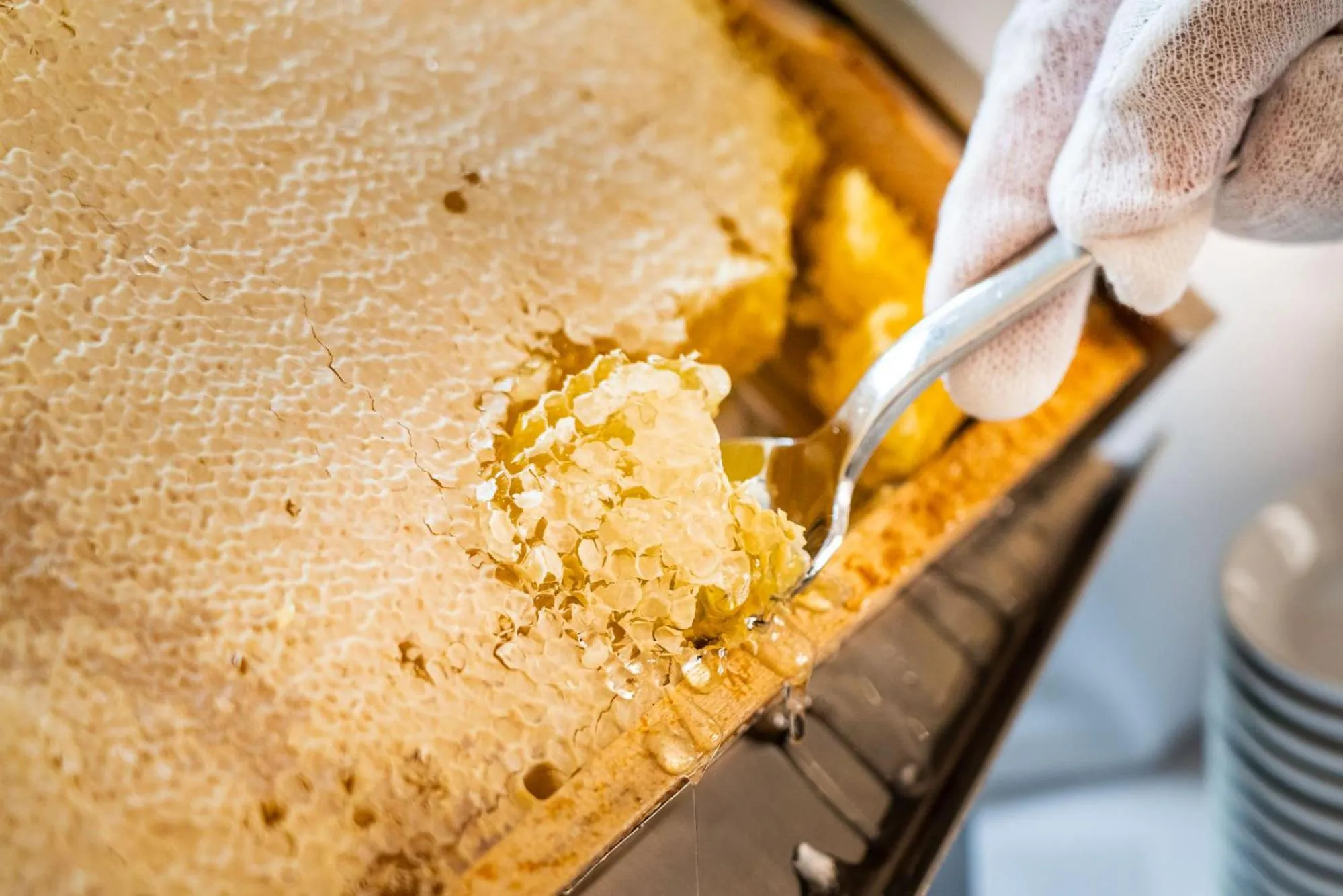 Breakfast in ClassicX Landhaus & Hotel - Bed & Breakfast