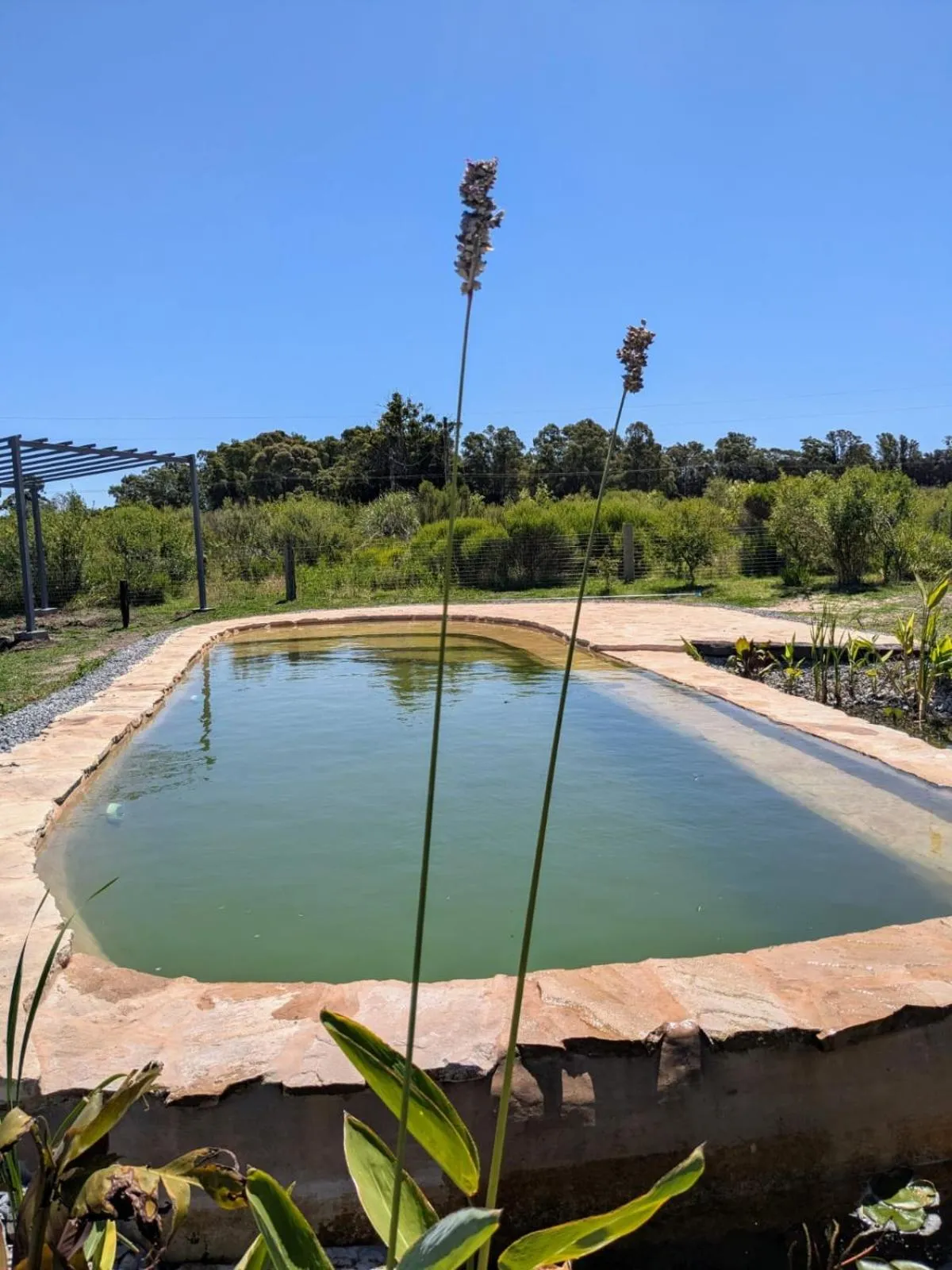 Swimming pool in Caliu Earthship Ecolodge