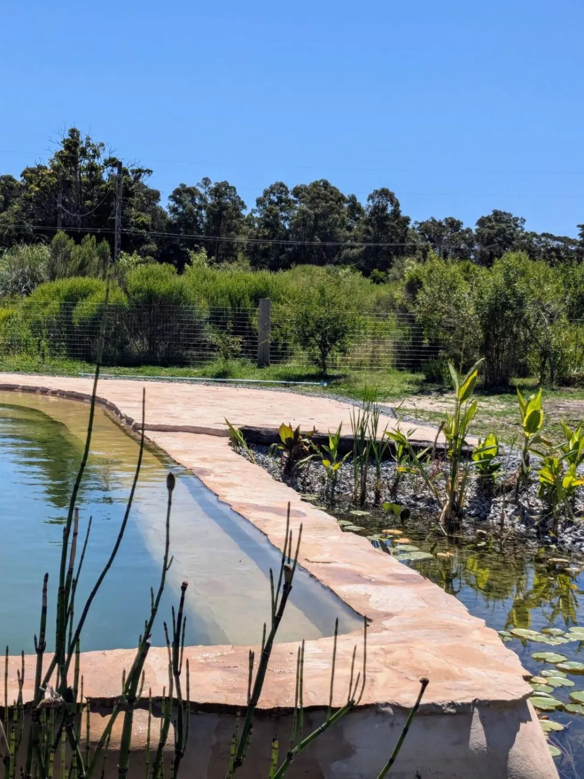 Swimming pool in Caliu Earthship Ecolodge
