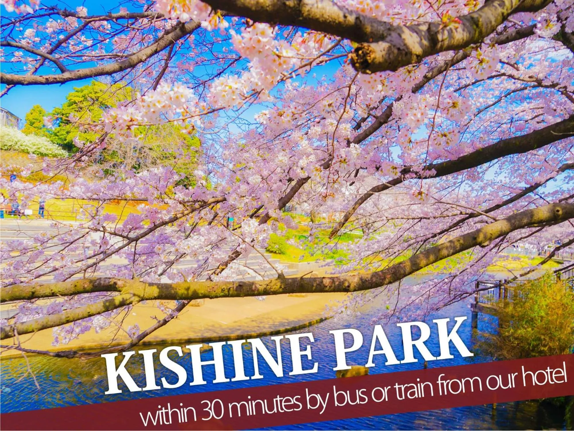 Nearby landmark in Hotel ZALA