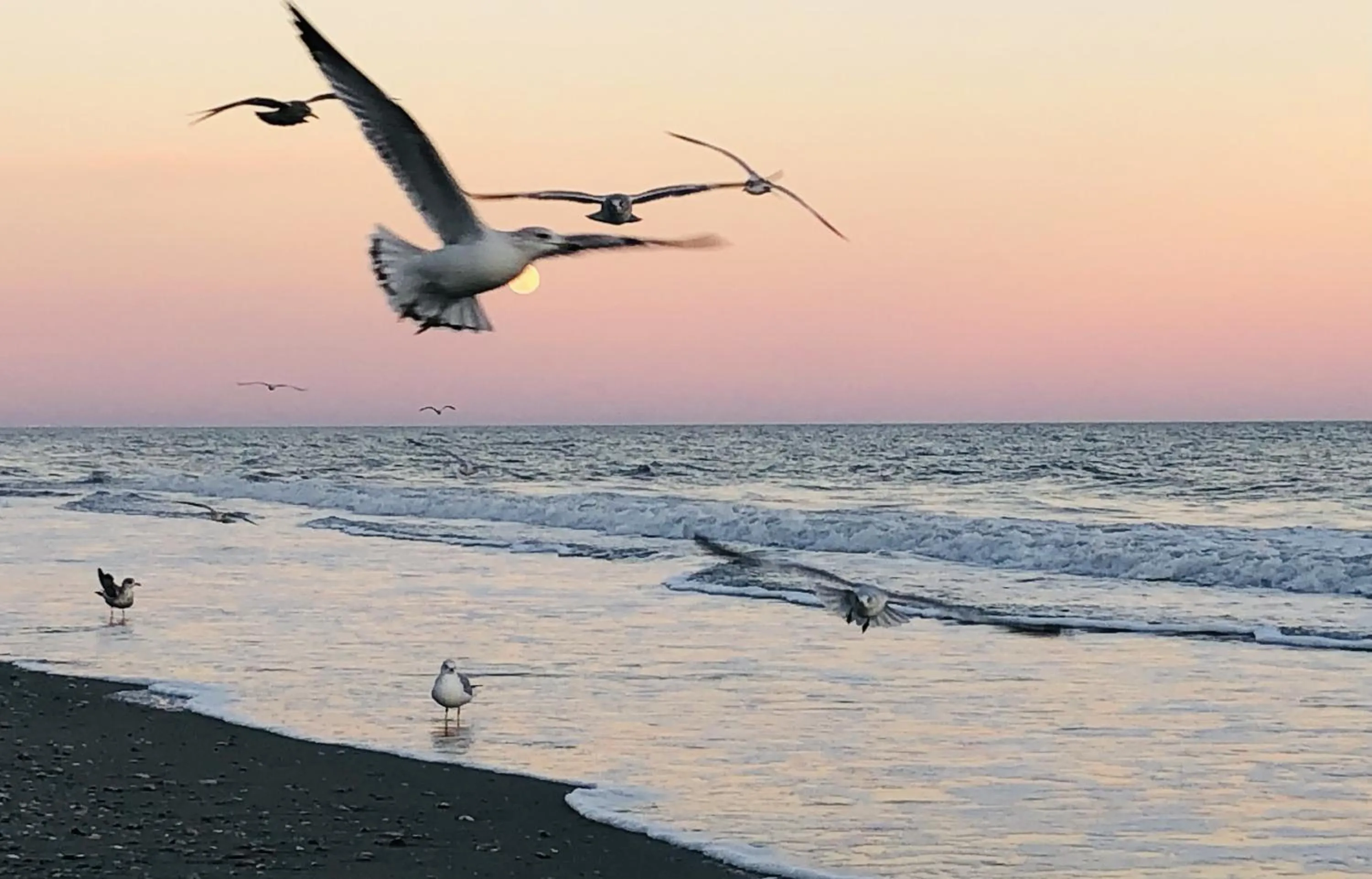 Natural landscape in Luxury 2 bedroom 2 bathroom Ocean Front Condo on the 12th floor for 8