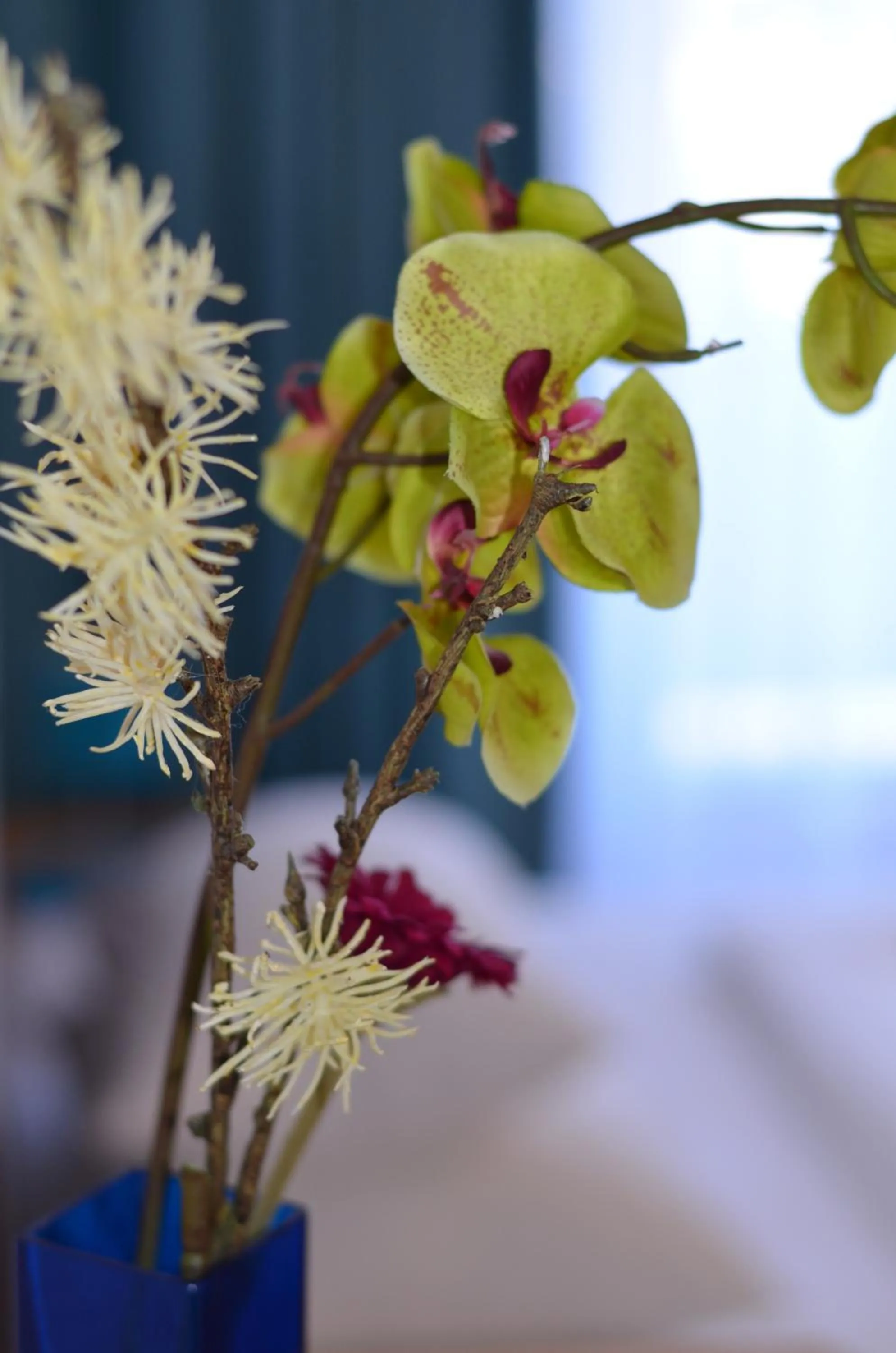 Other in Neu Heidelberg - Guesthouse & Apartments