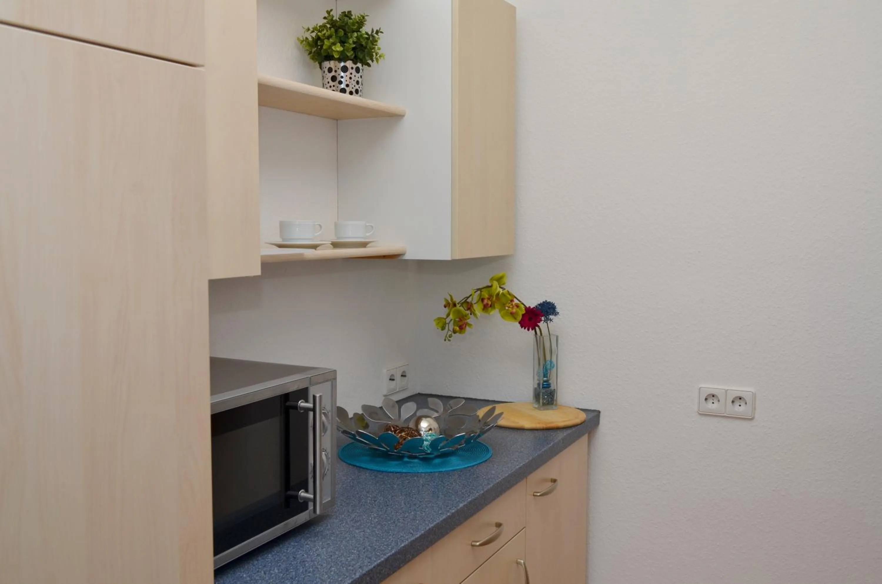 Kitchen or kitchenette in Neu Heidelberg - Guesthouse & Apartments