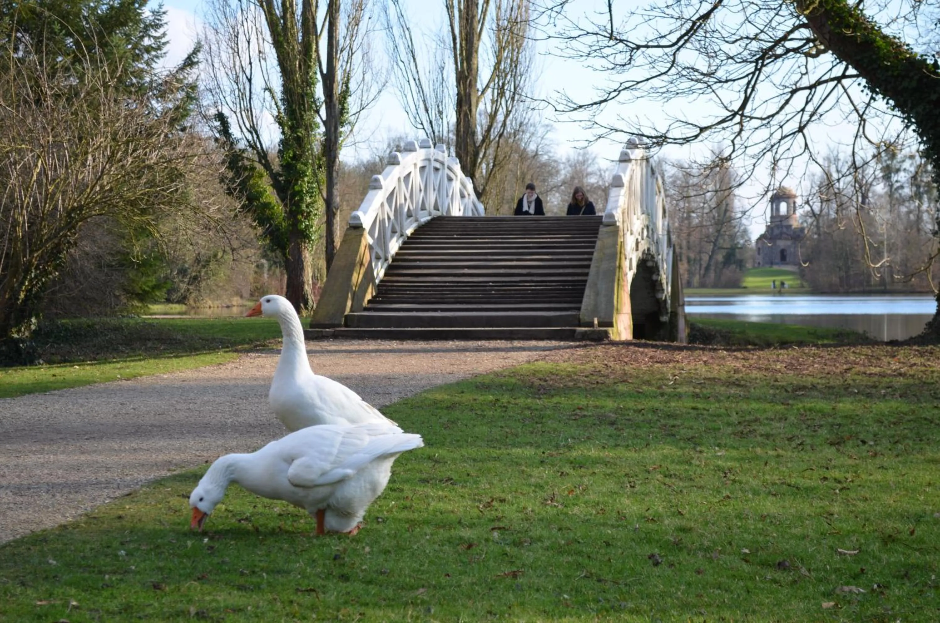 Nearby landmark in Neu Heidelberg - Guesthouse & Apartments