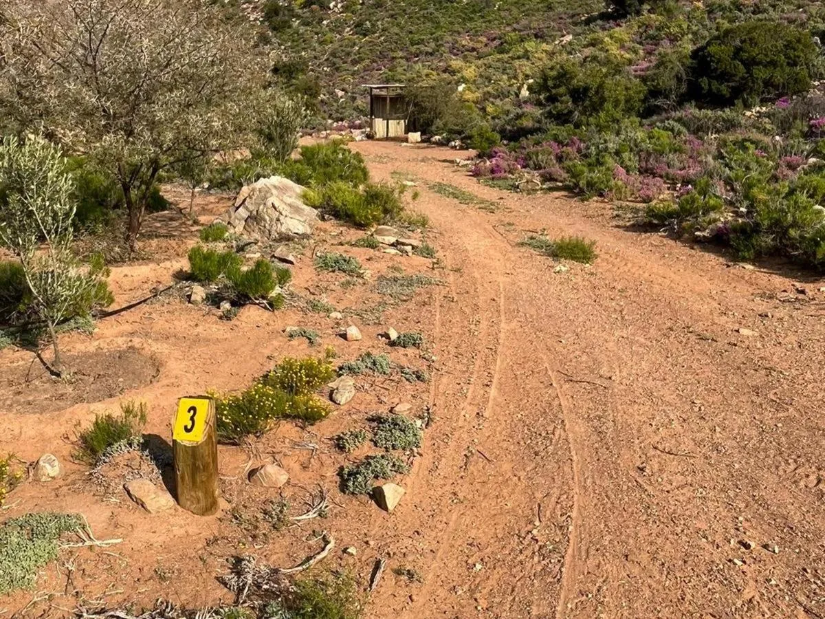 Property building in Bushman Valley
