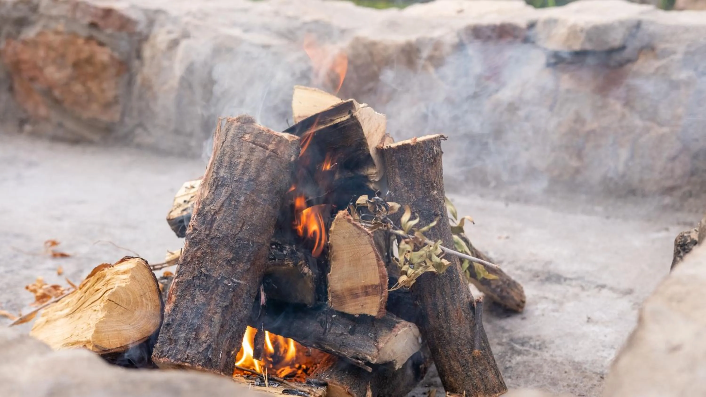 BBQ facilities in Bushman Valley