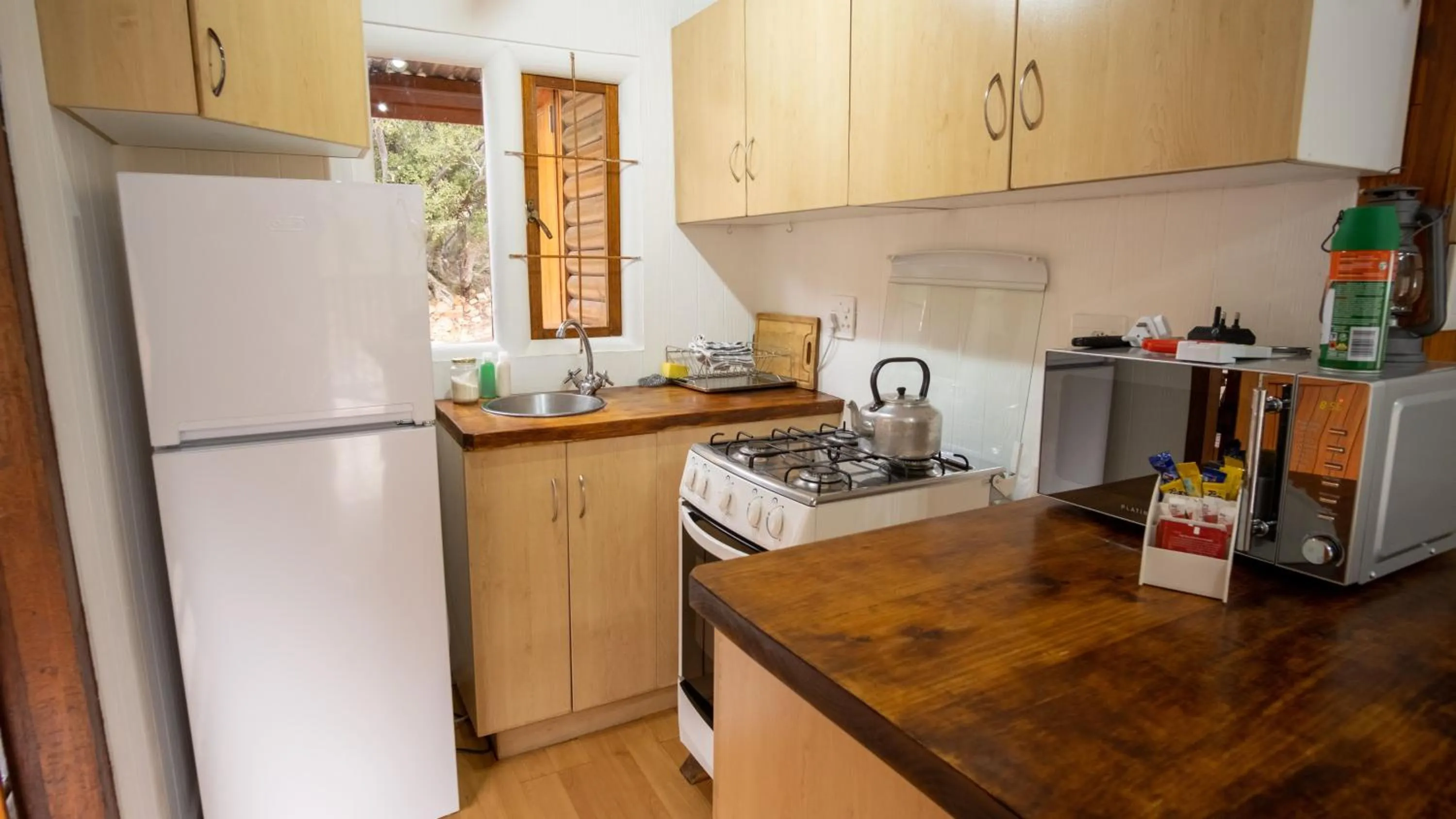 Kitchen or kitchenette in Bushman Valley