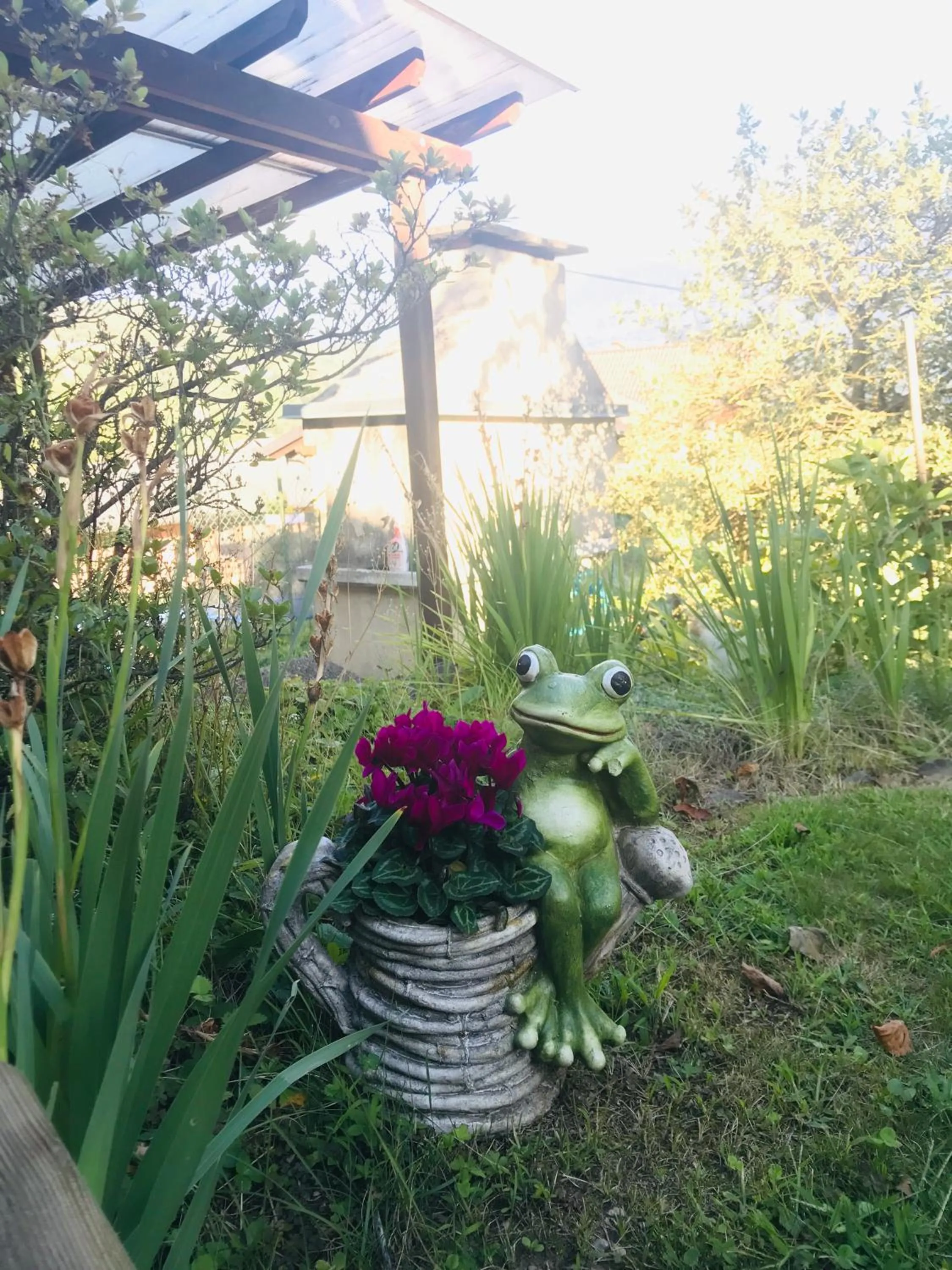 Al Chiar di Luna B&B Valtellina