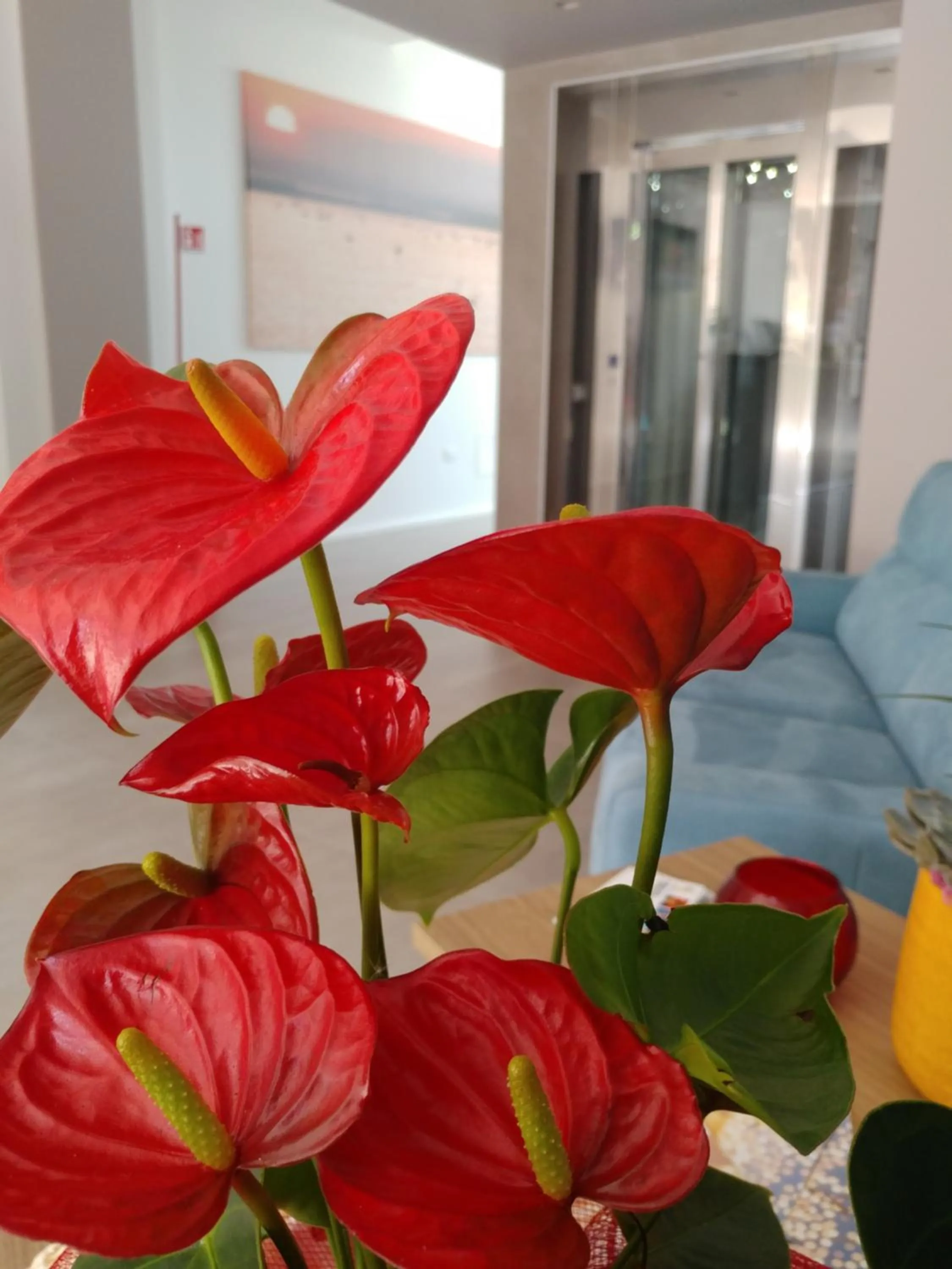 Lobby or reception in SALAPIA SALIS RESORT