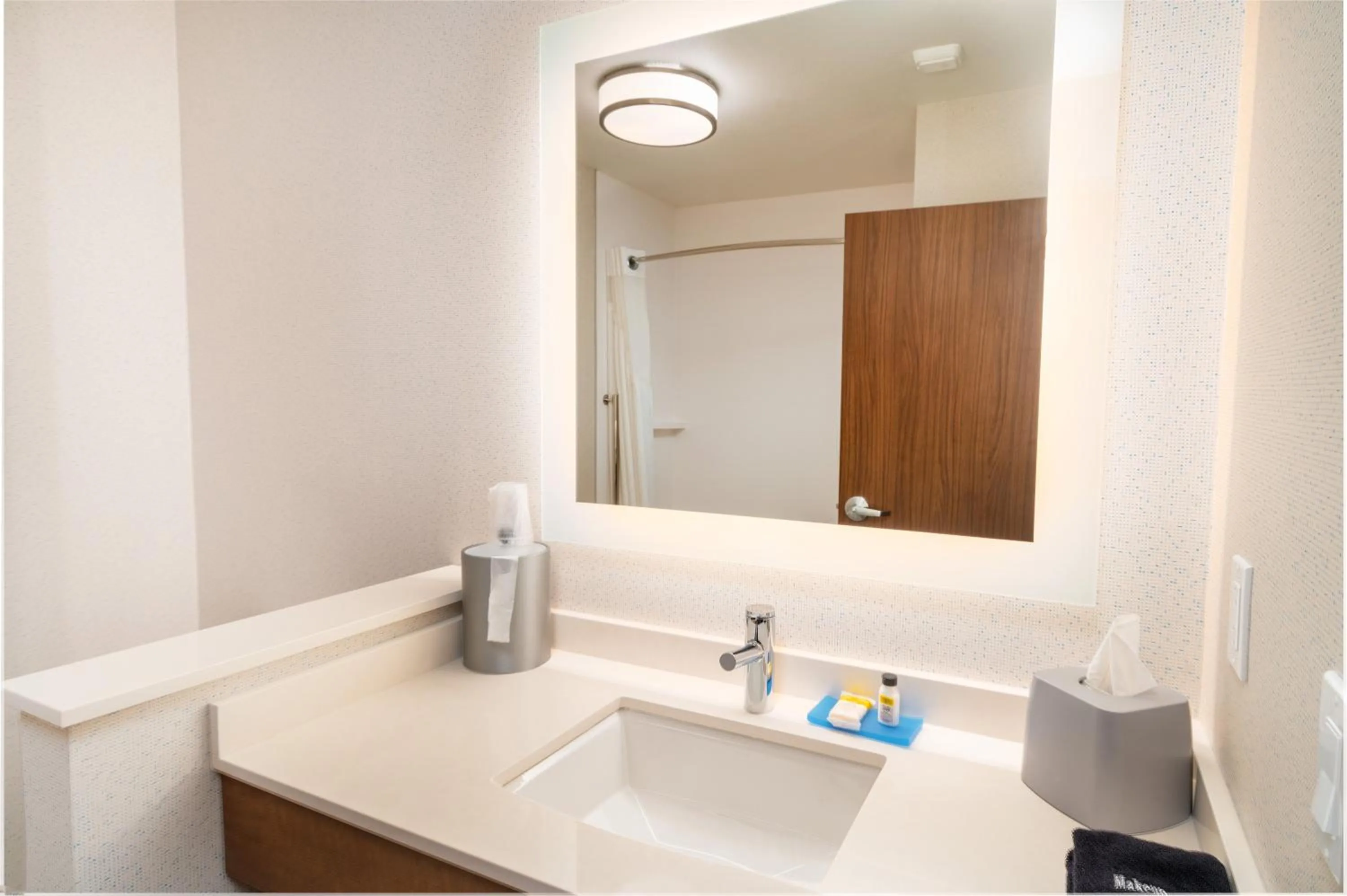 Bathroom in Holiday Inn Express & Suites - Las Vegas - E Tropicana by IHG