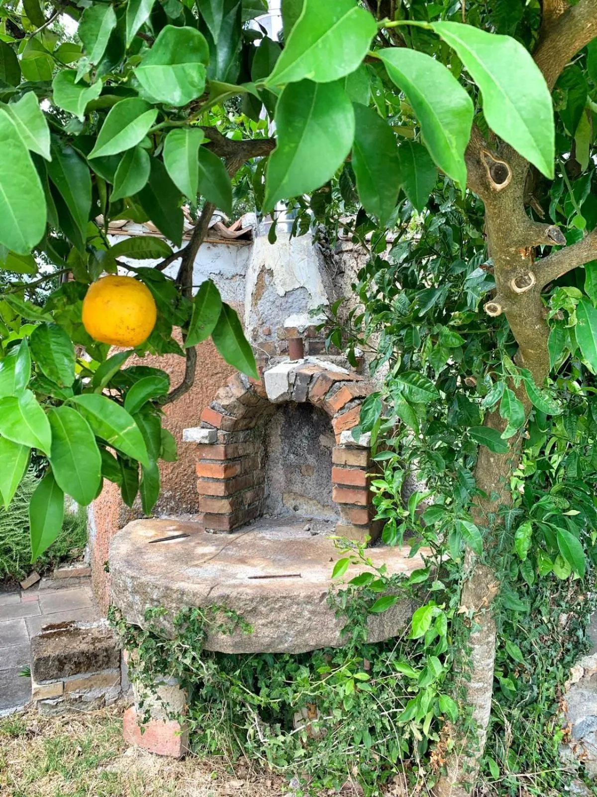 Property building in DIMORA MARELLA Patrica - Frosinone