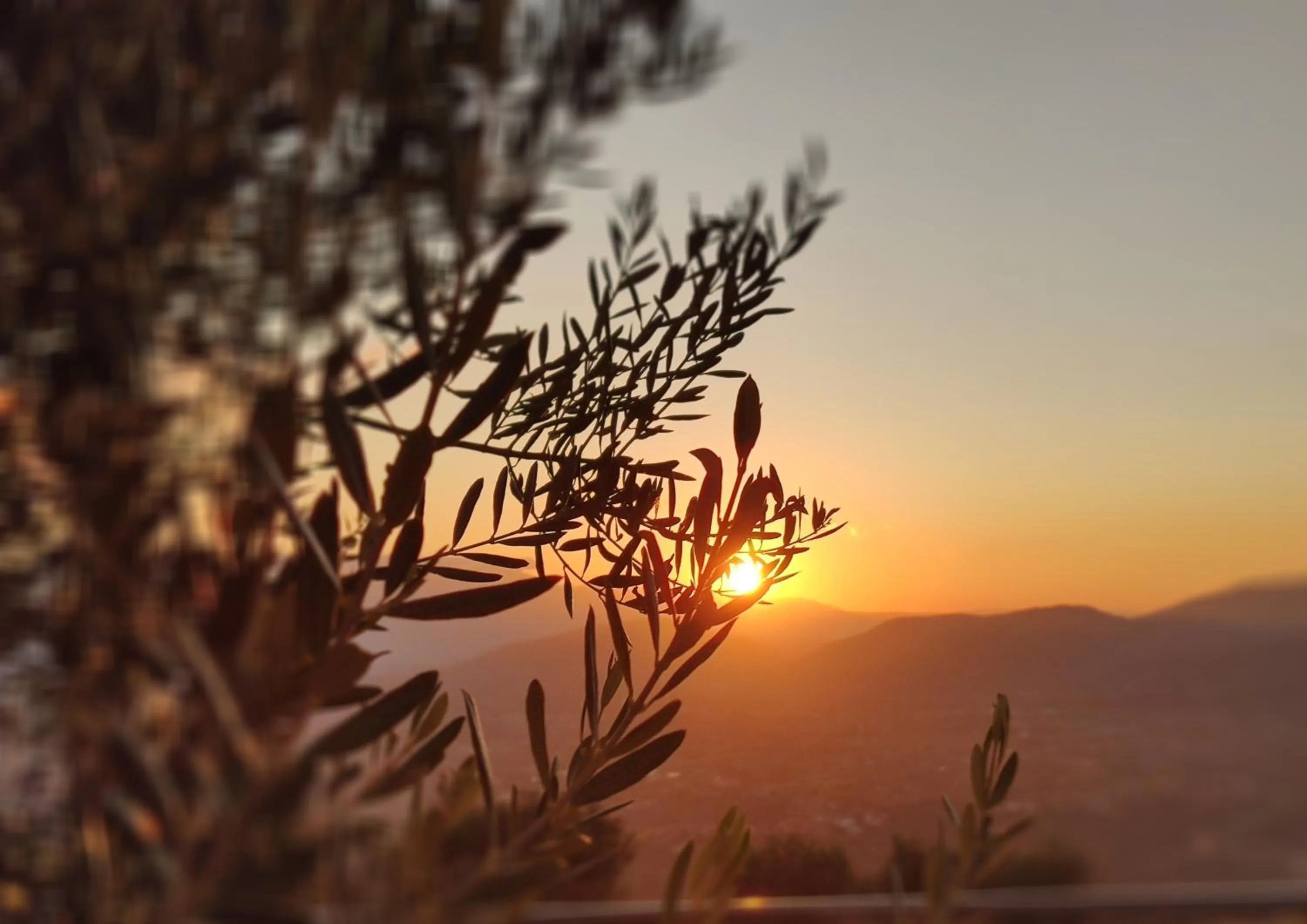Mountain view in DIMORA MARELLA Patrica - Frosinone