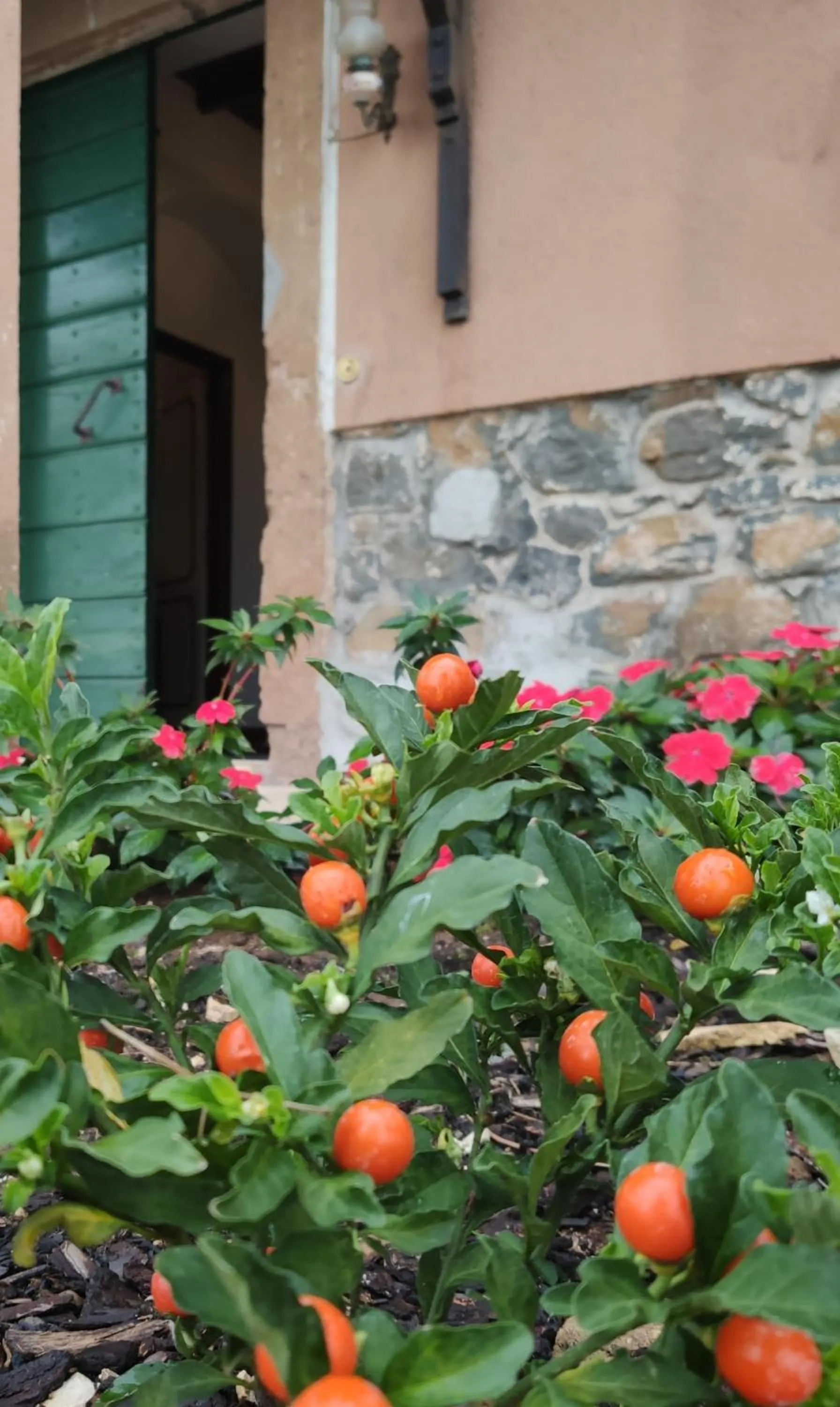 Patio in DIMORA MARELLA Patrica - Frosinone
