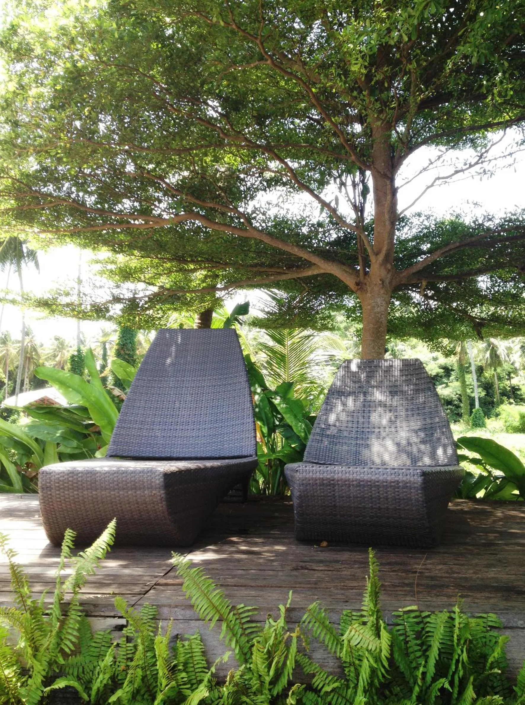 Balcony/Terrace in Seavana Koh Mak Beach Resort