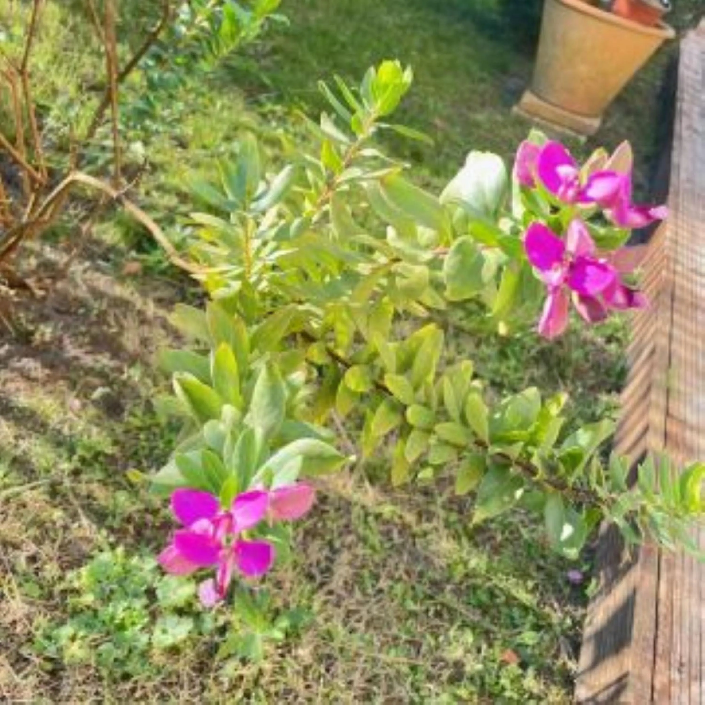 Chambres d'Hôtes d'Aliénor