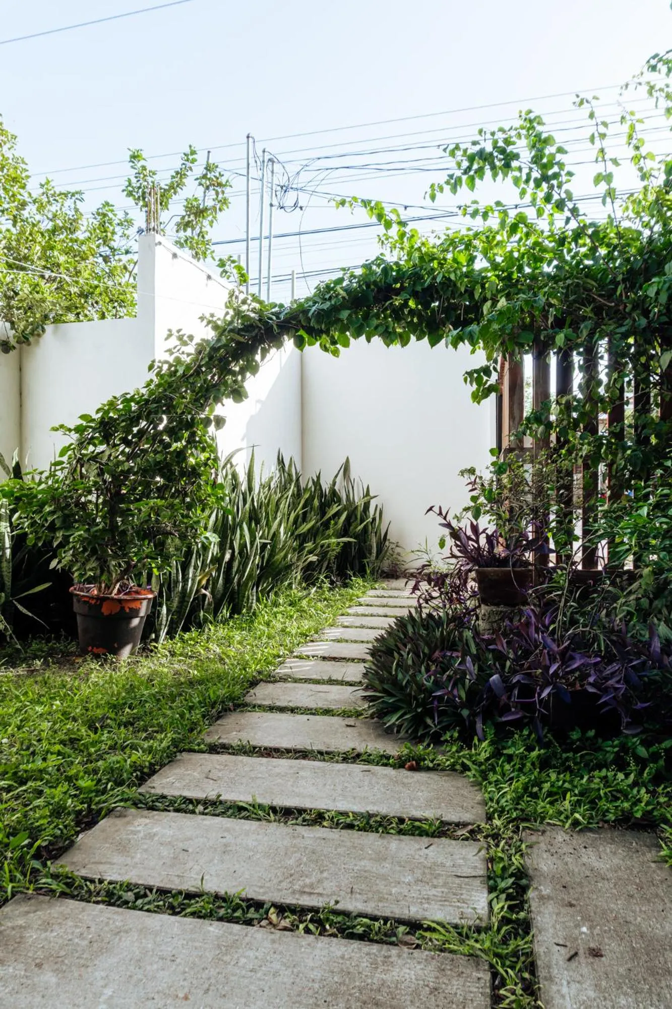 Spring in Hotel Brisas Bacalar