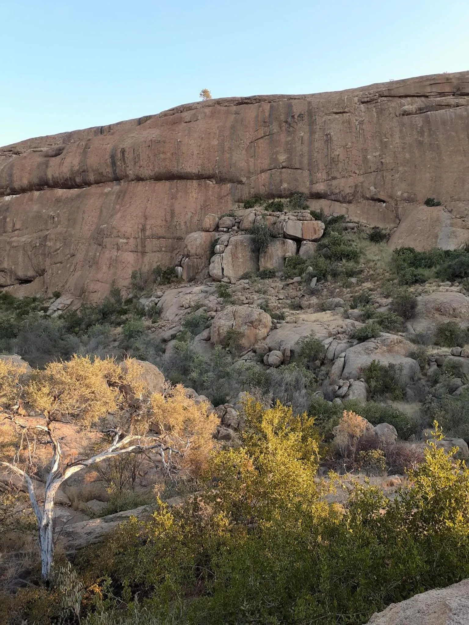 Natural landscape in Ondudu Safari Lodge