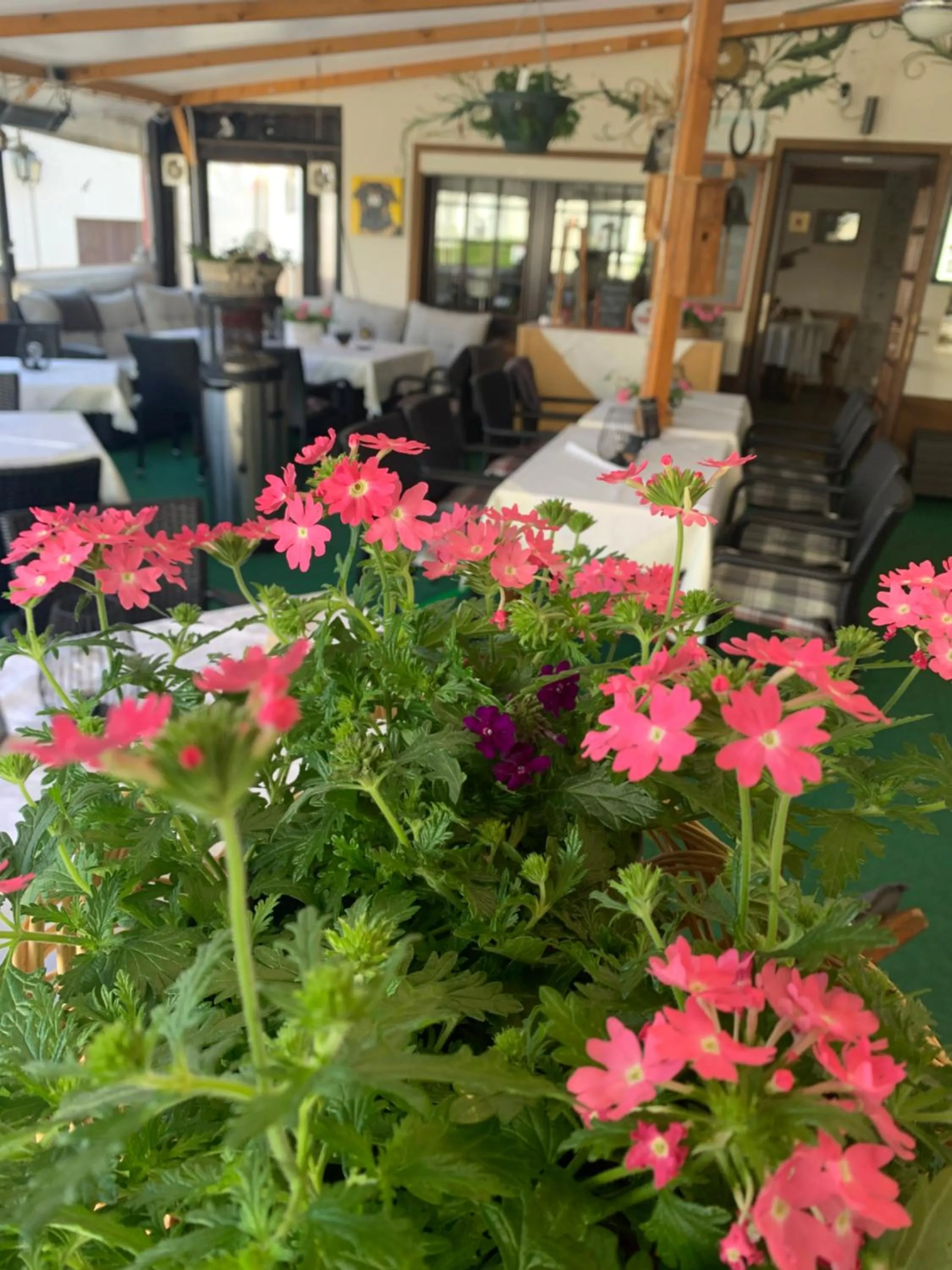 Hotel & Restaurant Zum Deutschen Haus