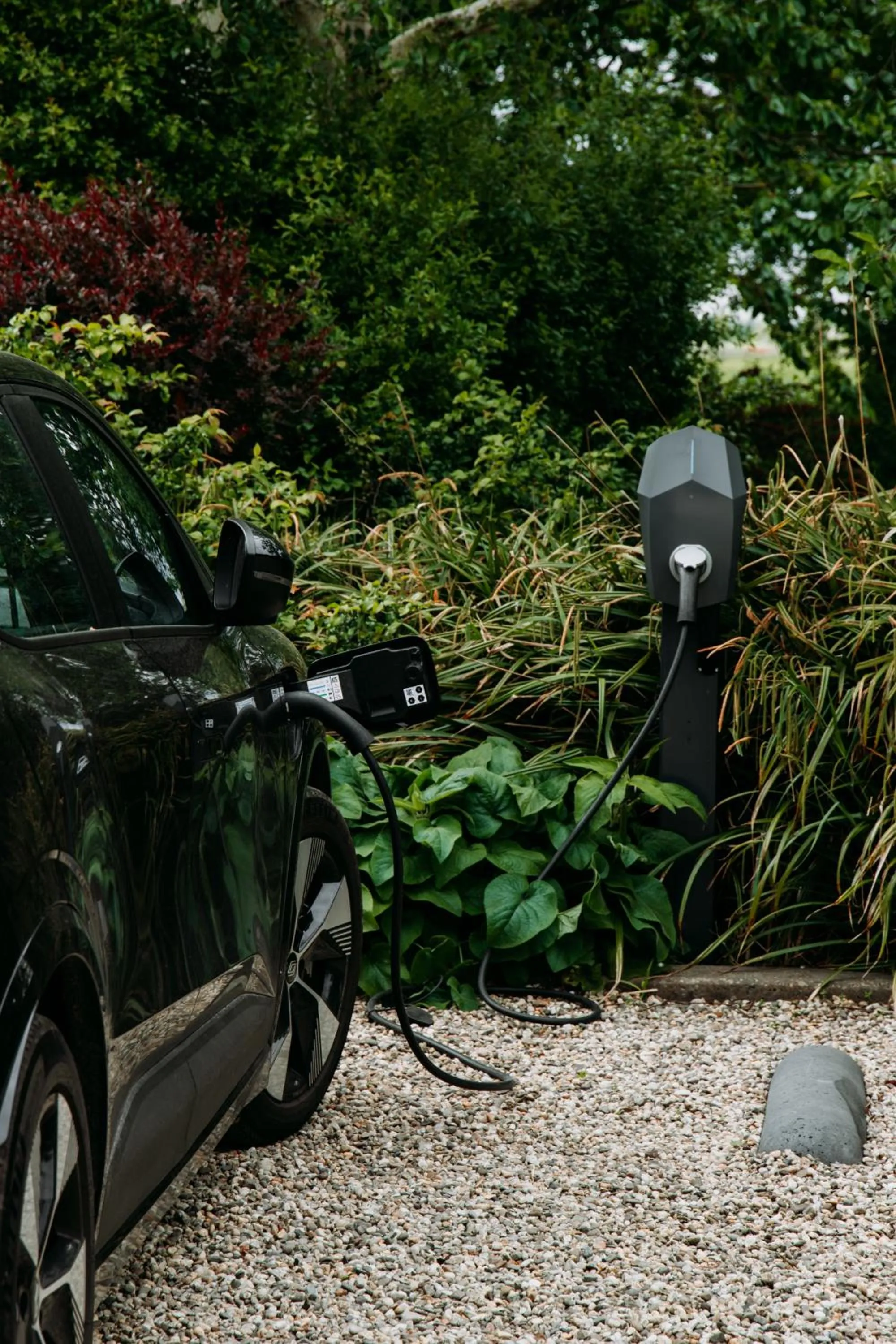 Garden in Boutique B&B Oud Aa