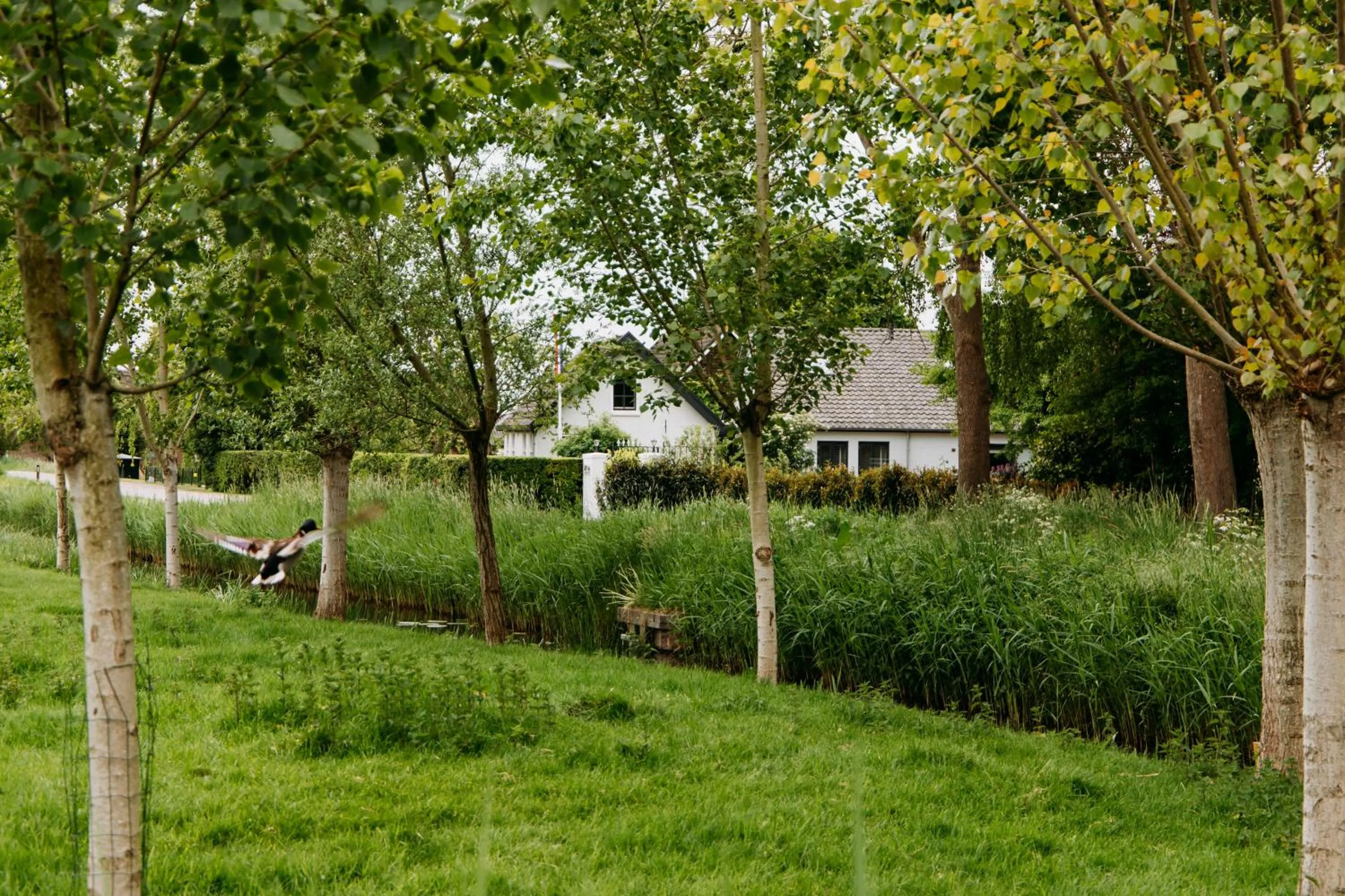 Property building in Boutique B&B Oud Aa