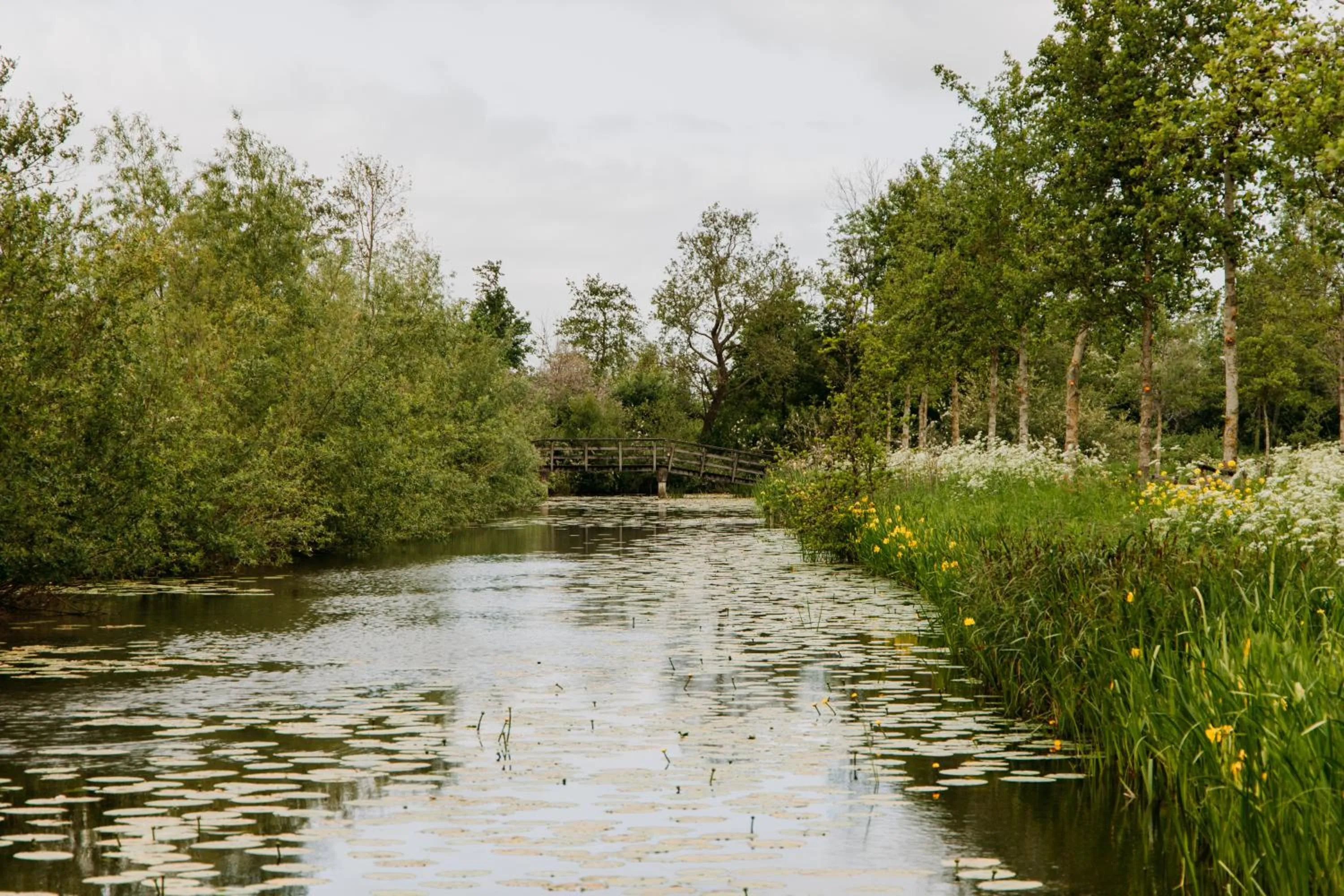 Natural landscape in Boutique B&B Oud Aa
