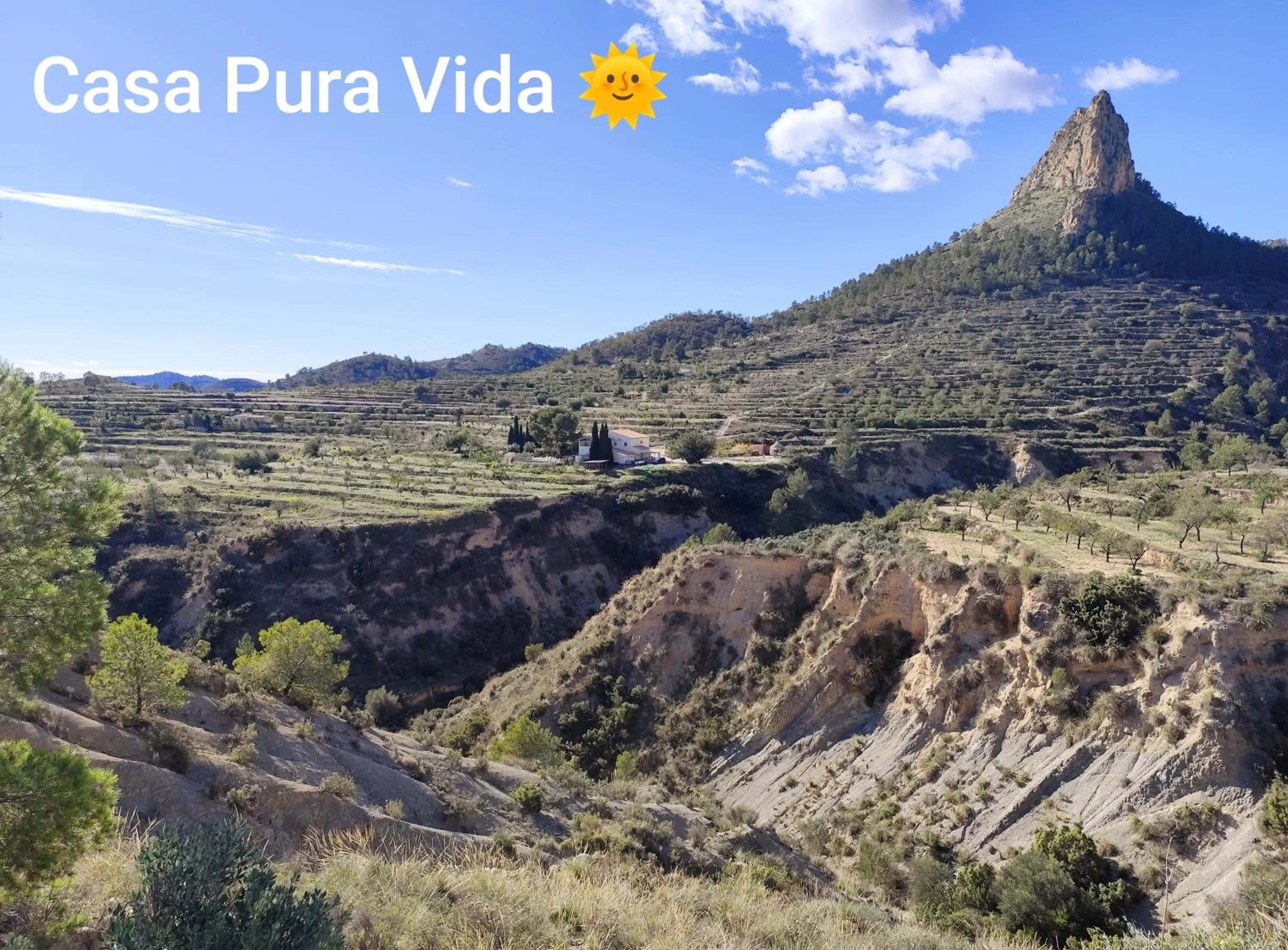 Casa Pura Vida
