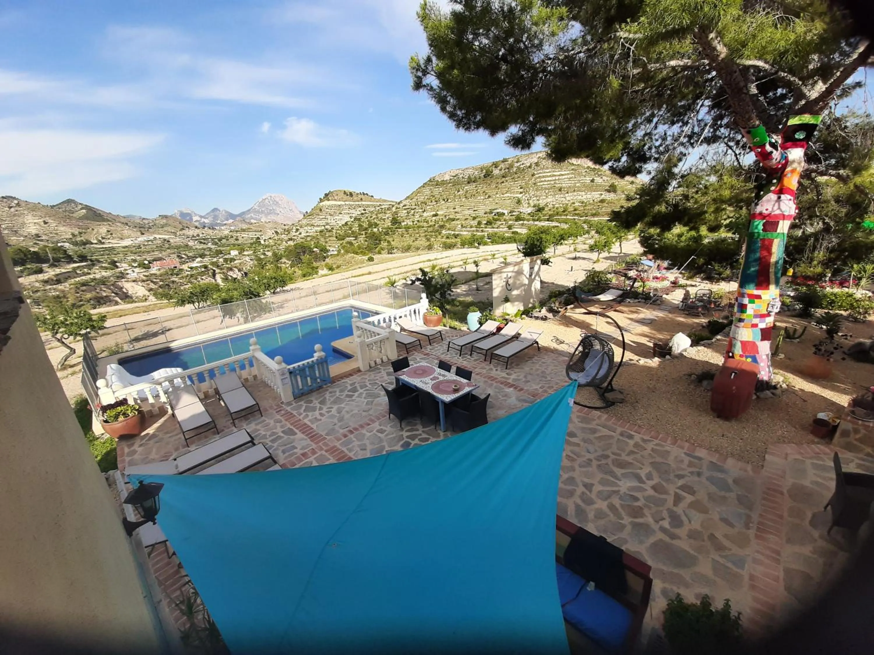 Swimming pool in Casa Pura Vida