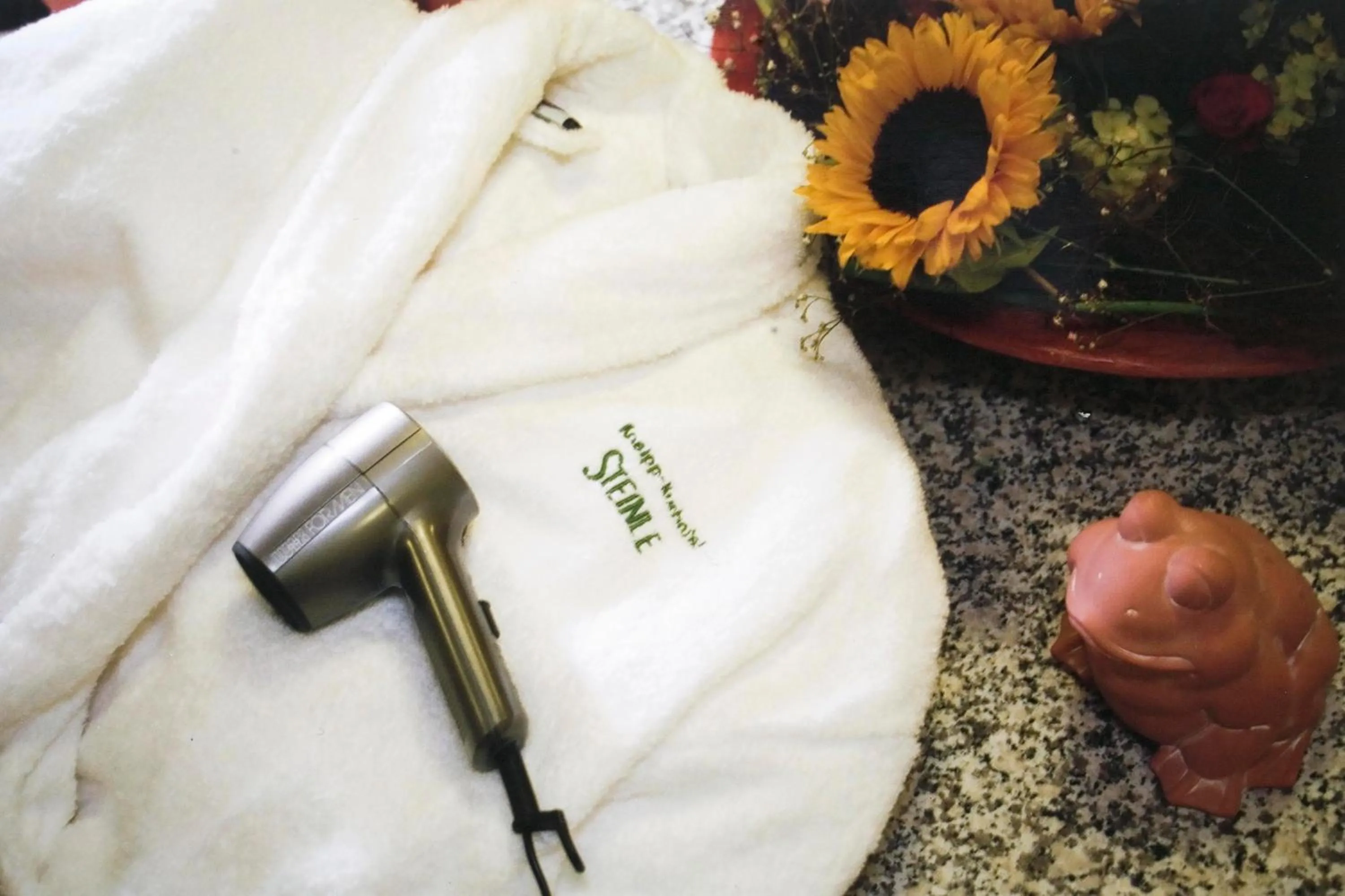 Decorative detail in Kneipp-Kurhotel Steinle