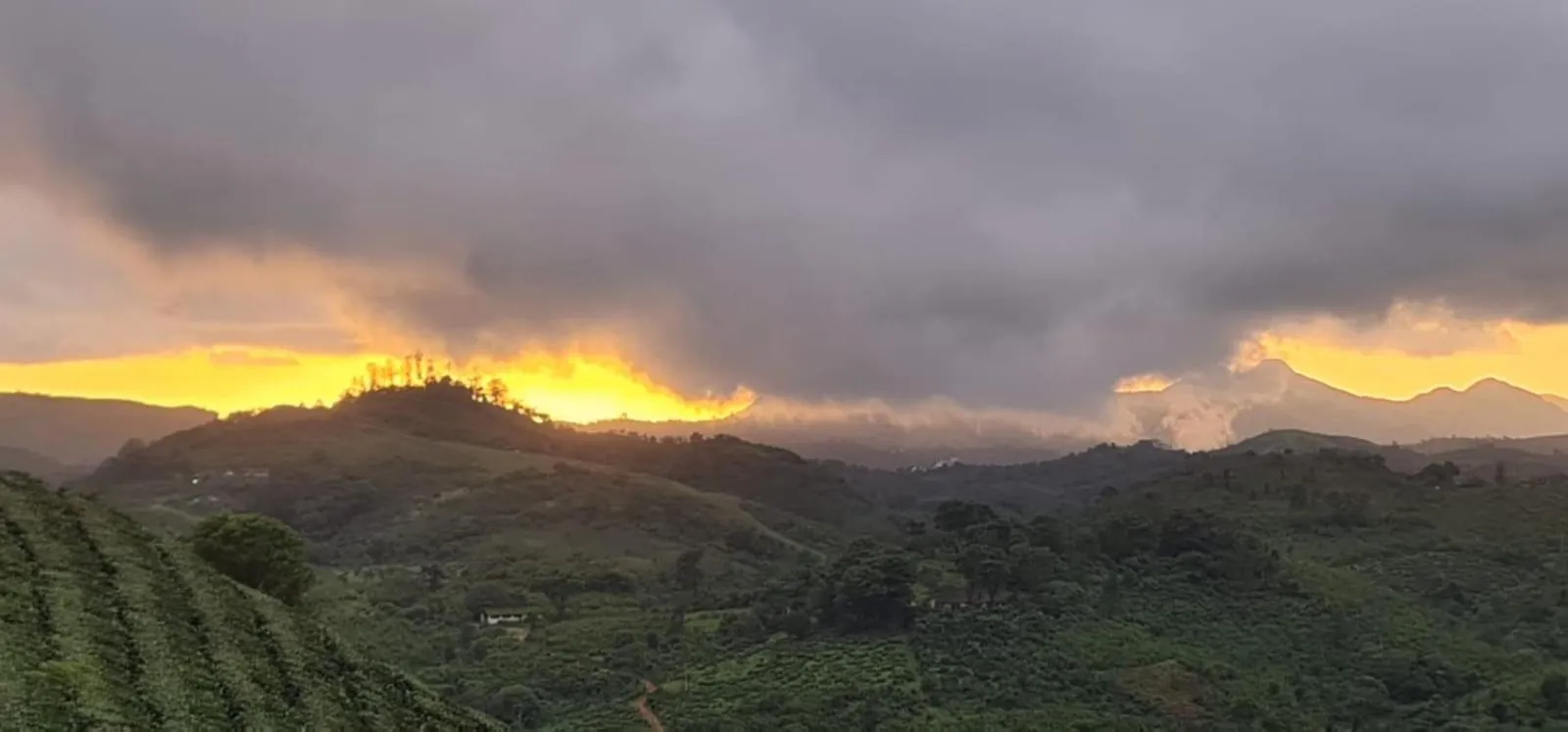 Vaga Mist Resort Vagamon