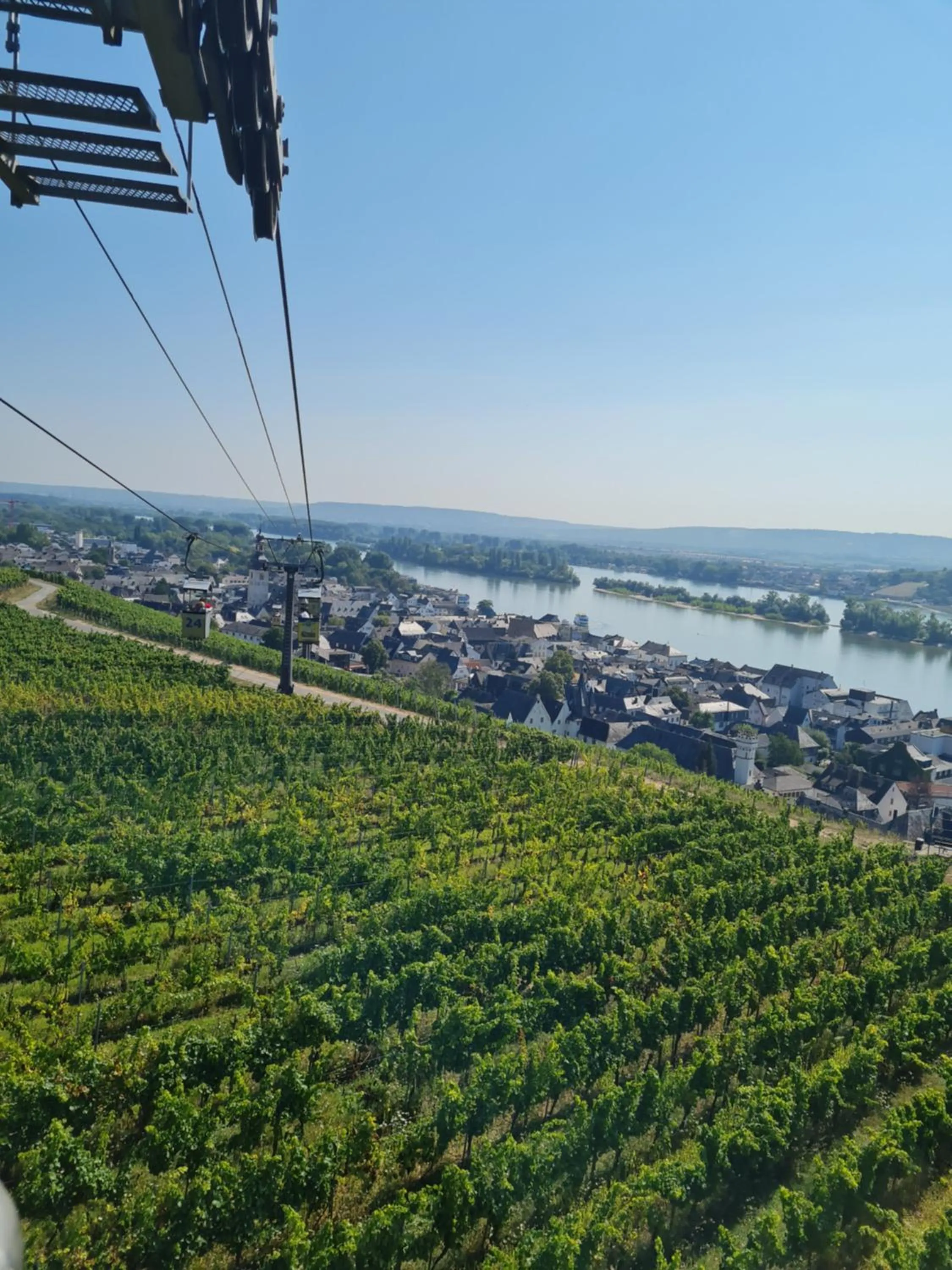 Natural landscape in Hotel Rüdesheimer Hof