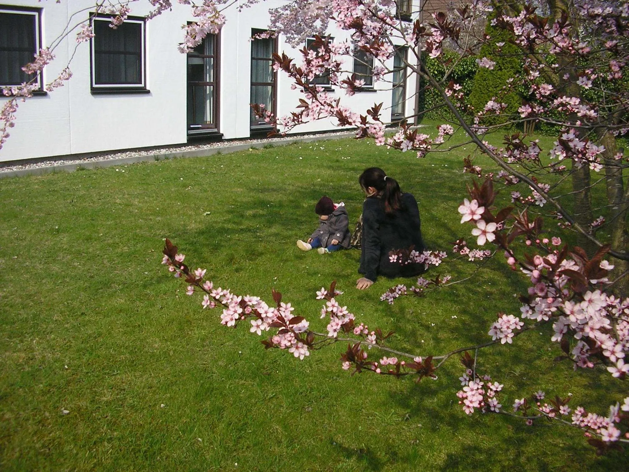 Garden in Lindenhotel Stralsund
