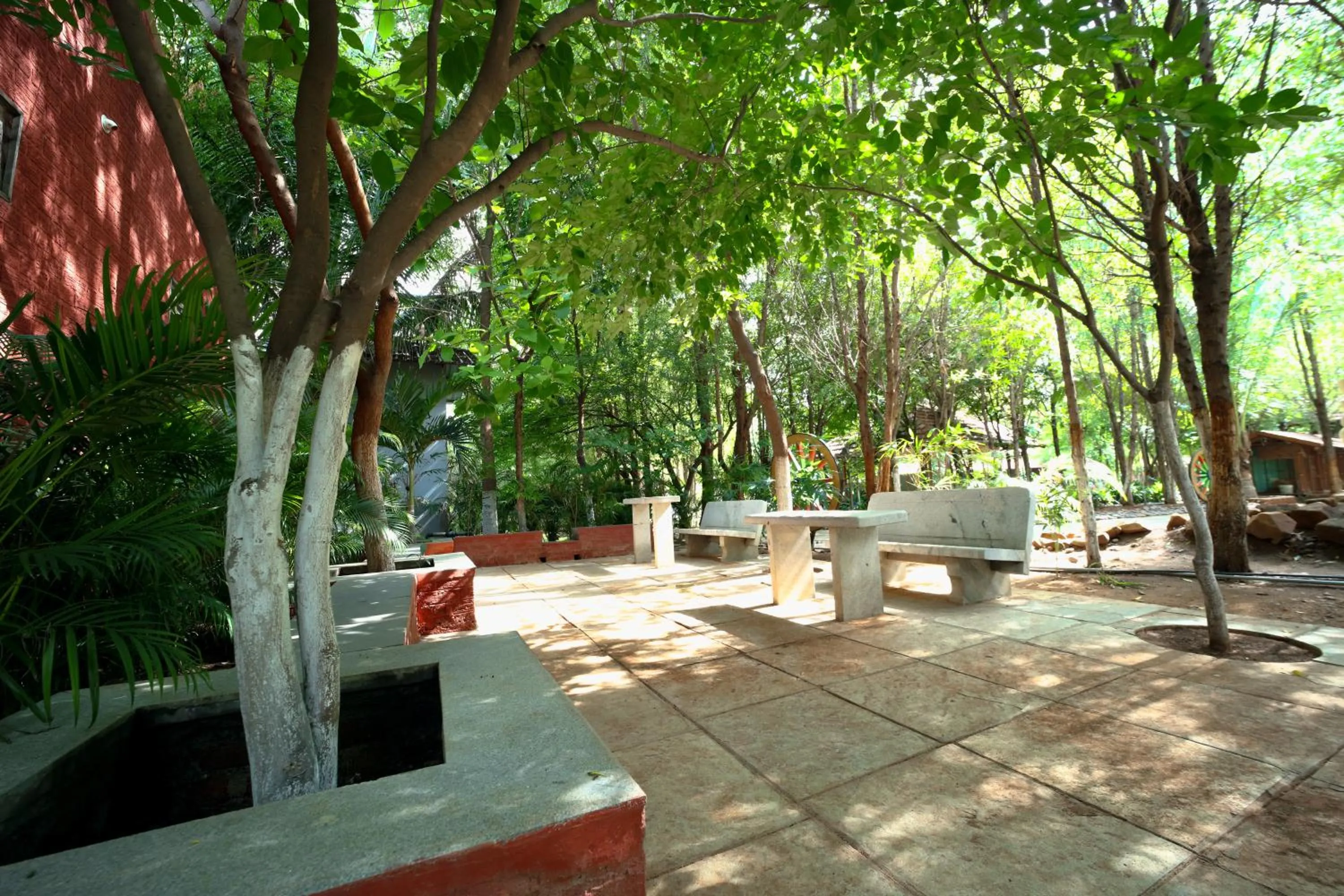 Garden in Brown Town Resort & Spa