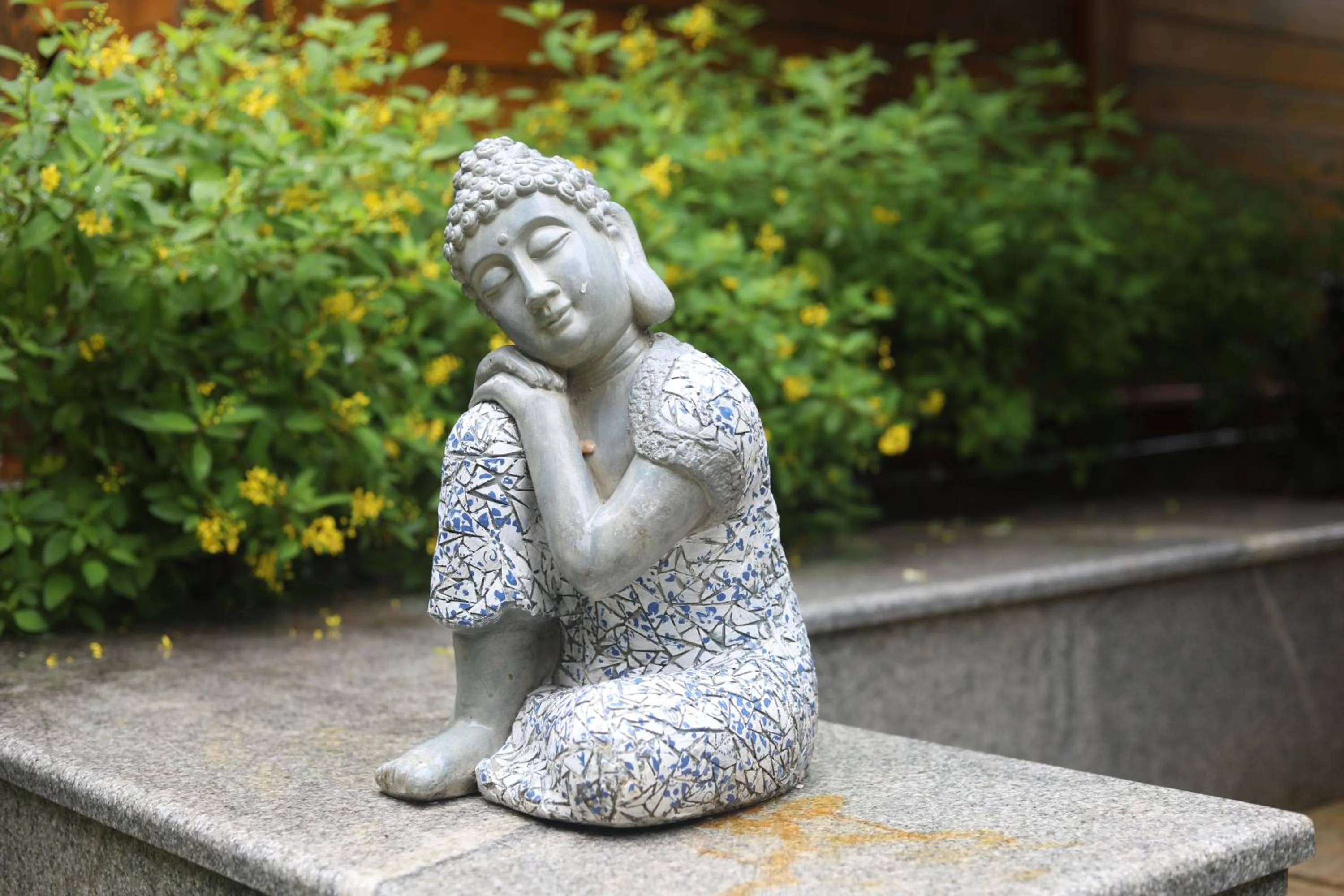 acessibility in Brown Town Resort & Spa