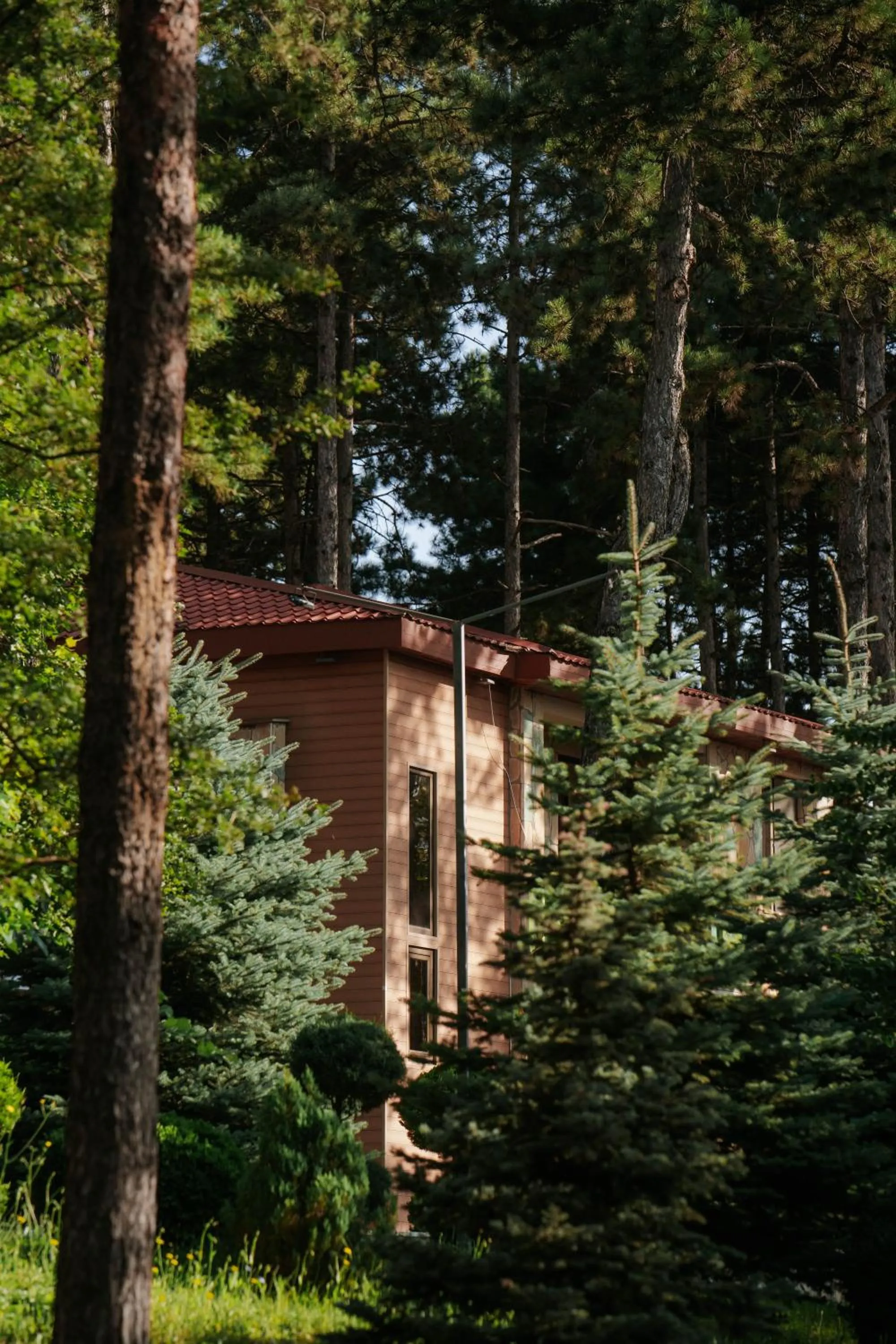 View (from property/room) in Zuzumbo Resort & Spa