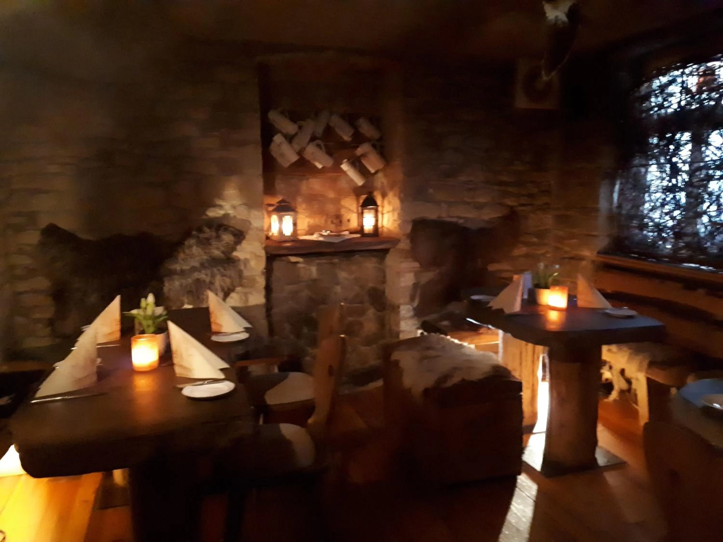 Restaurant/places to eat in Brauereigasthof Dachsenfranz