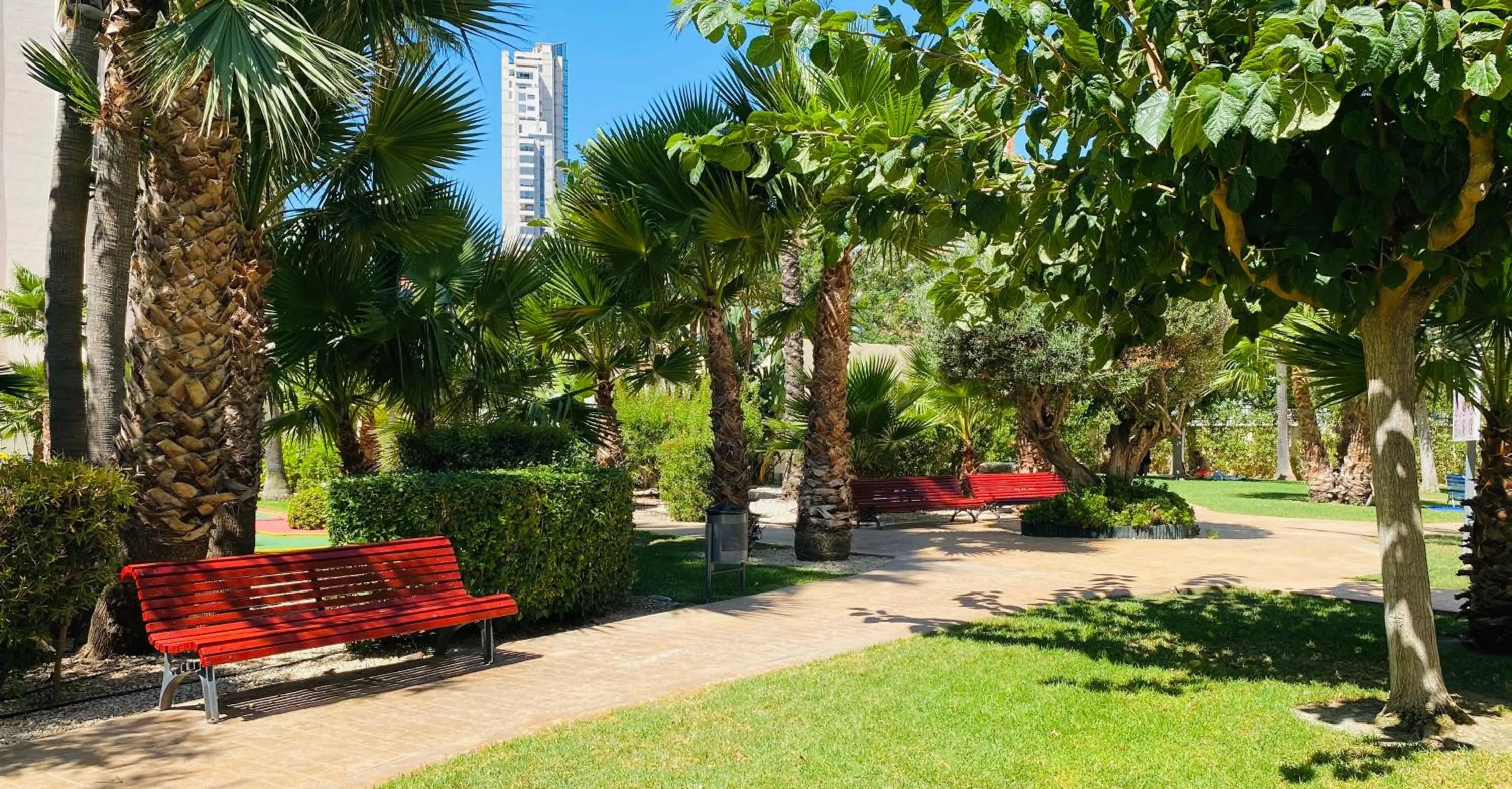 Garden in Gemelos 22 - Siroco