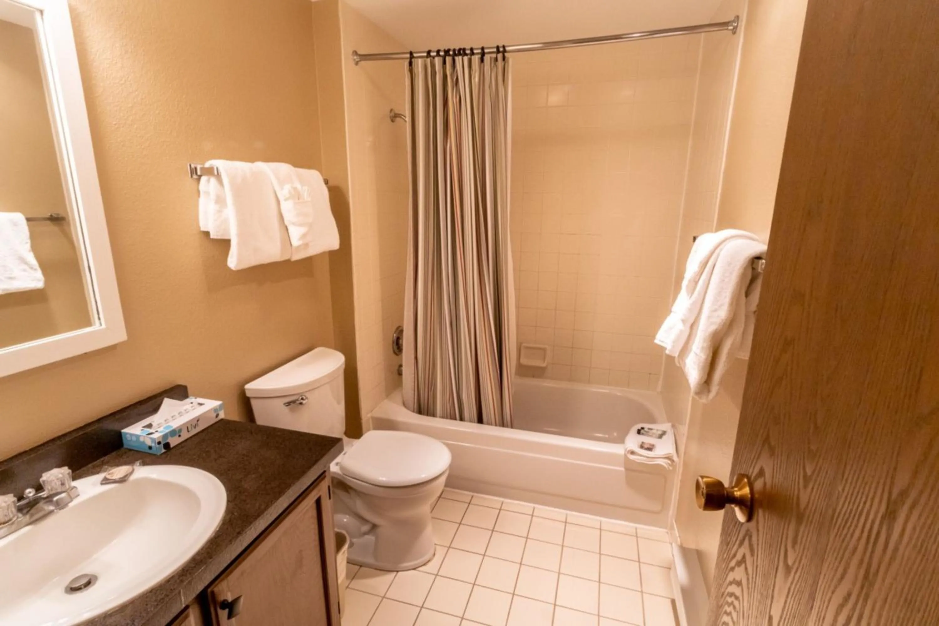 Bathroom in Flying Dutchman by Summit County Mountain Retreats