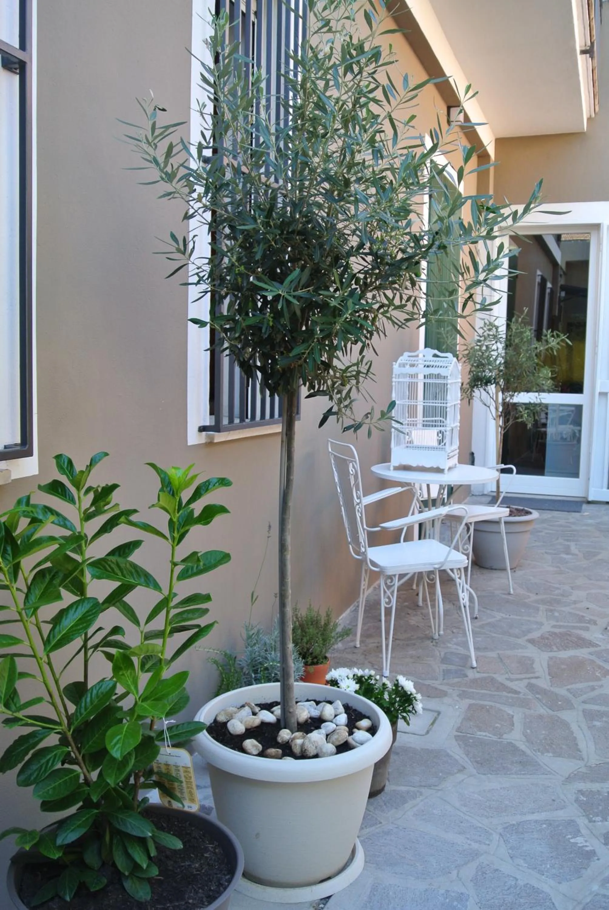 Property building in QuarantaVasi