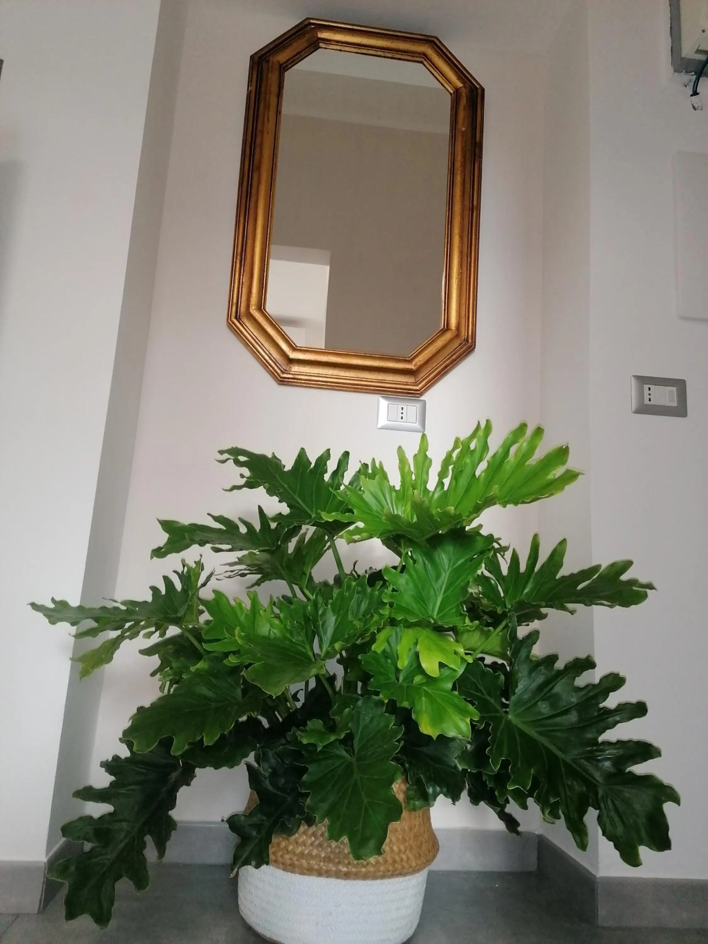 Lobby or reception in Grenada Home