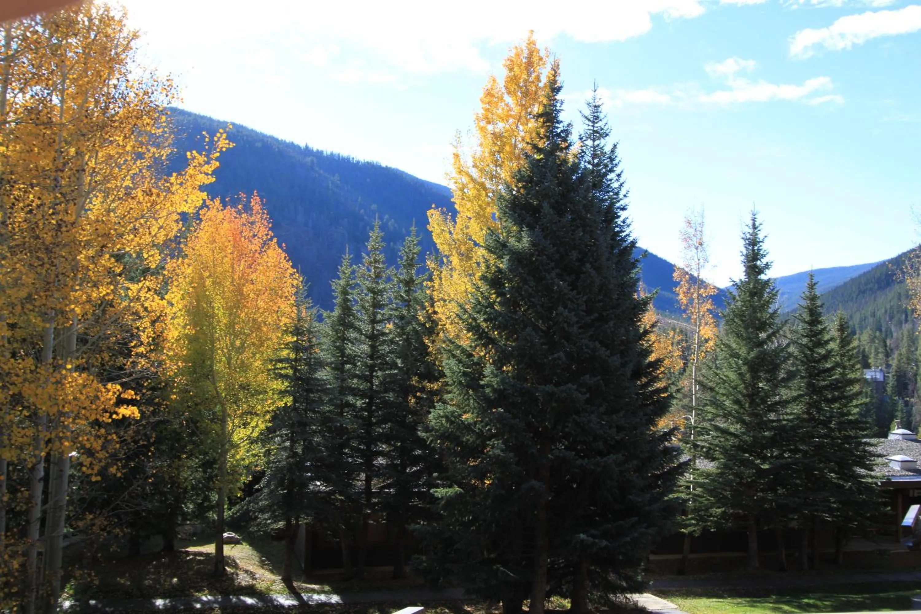 Other in Lodgepole 2008