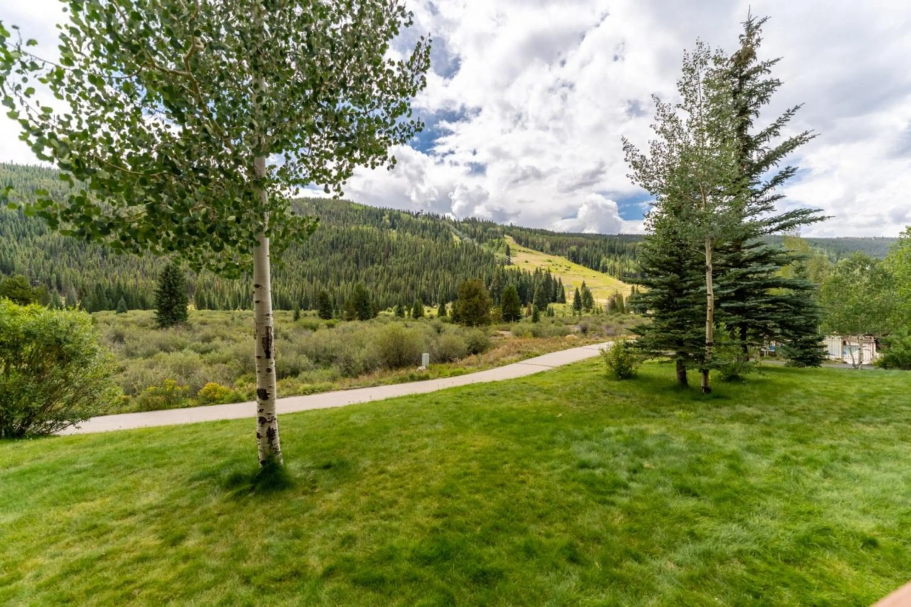 Natural landscape in Red Hawk Townhomes by Summit County Mountain Retreats